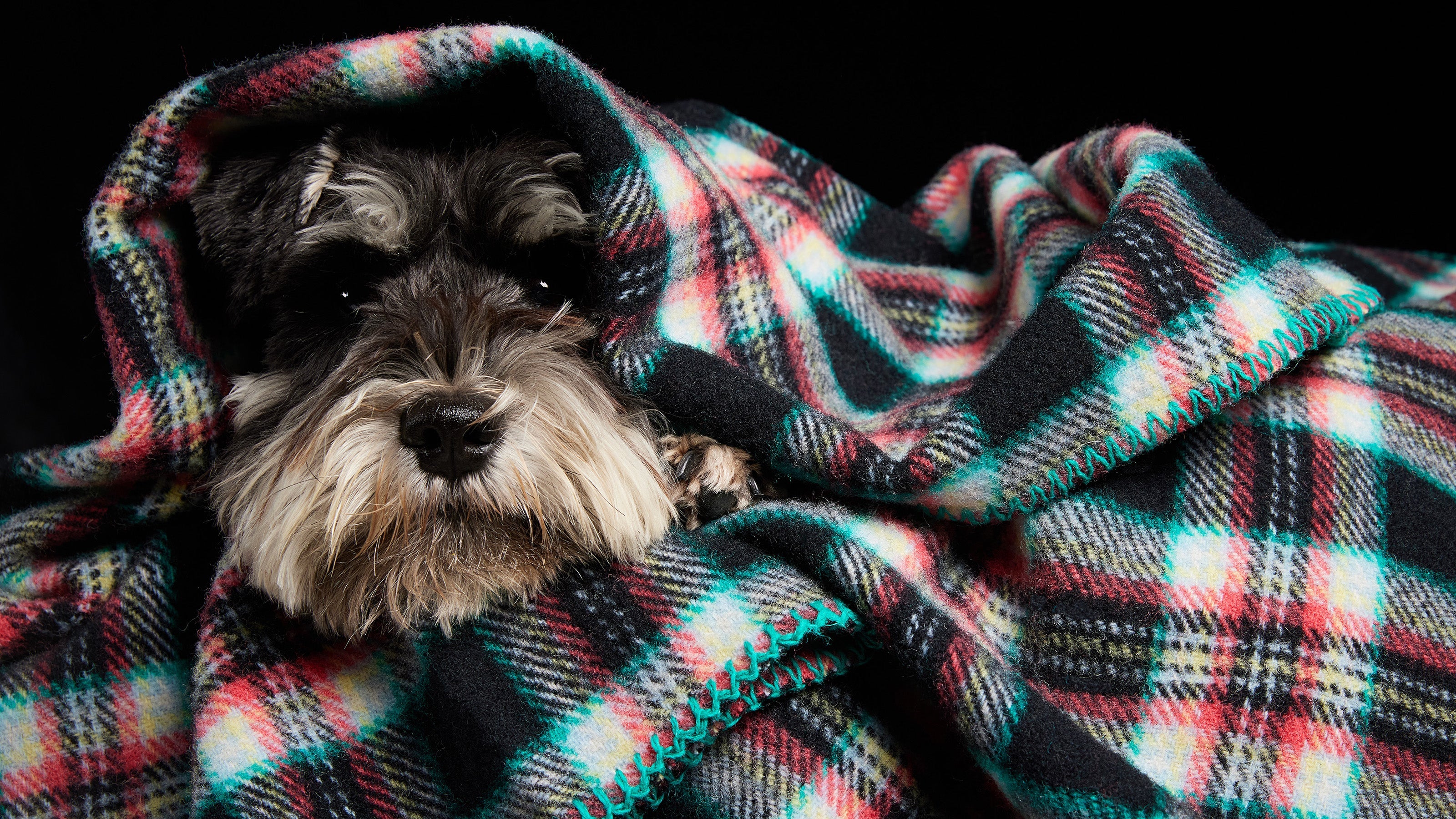 Pure Merino Wool Blankets