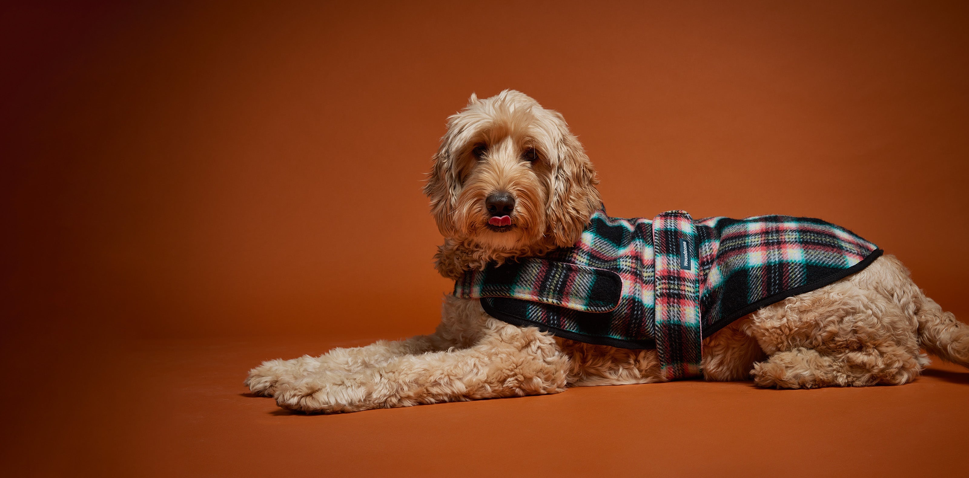 Colourful Checked Dog Jacket on grey Background