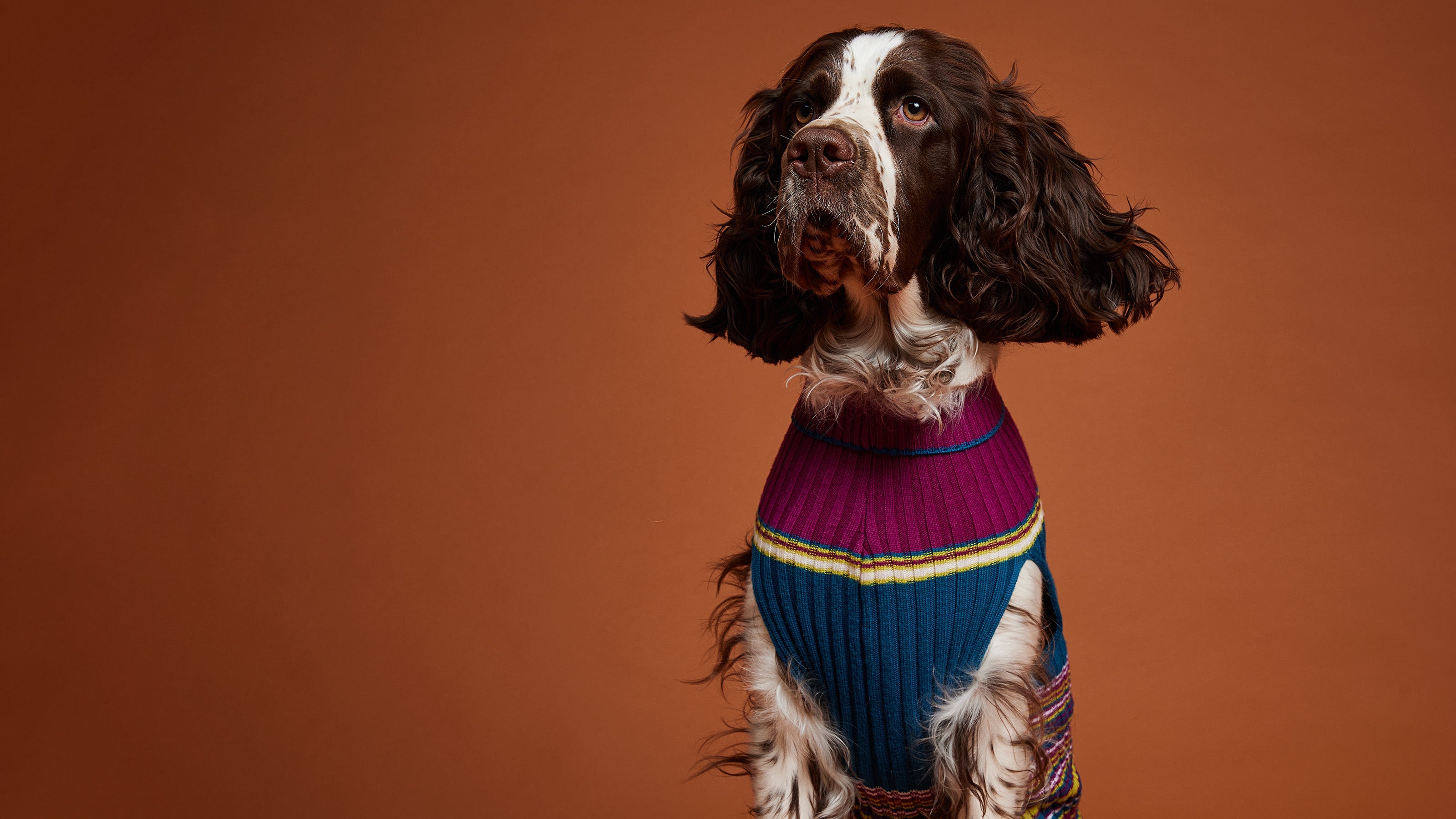 Merino Wool Knitwear