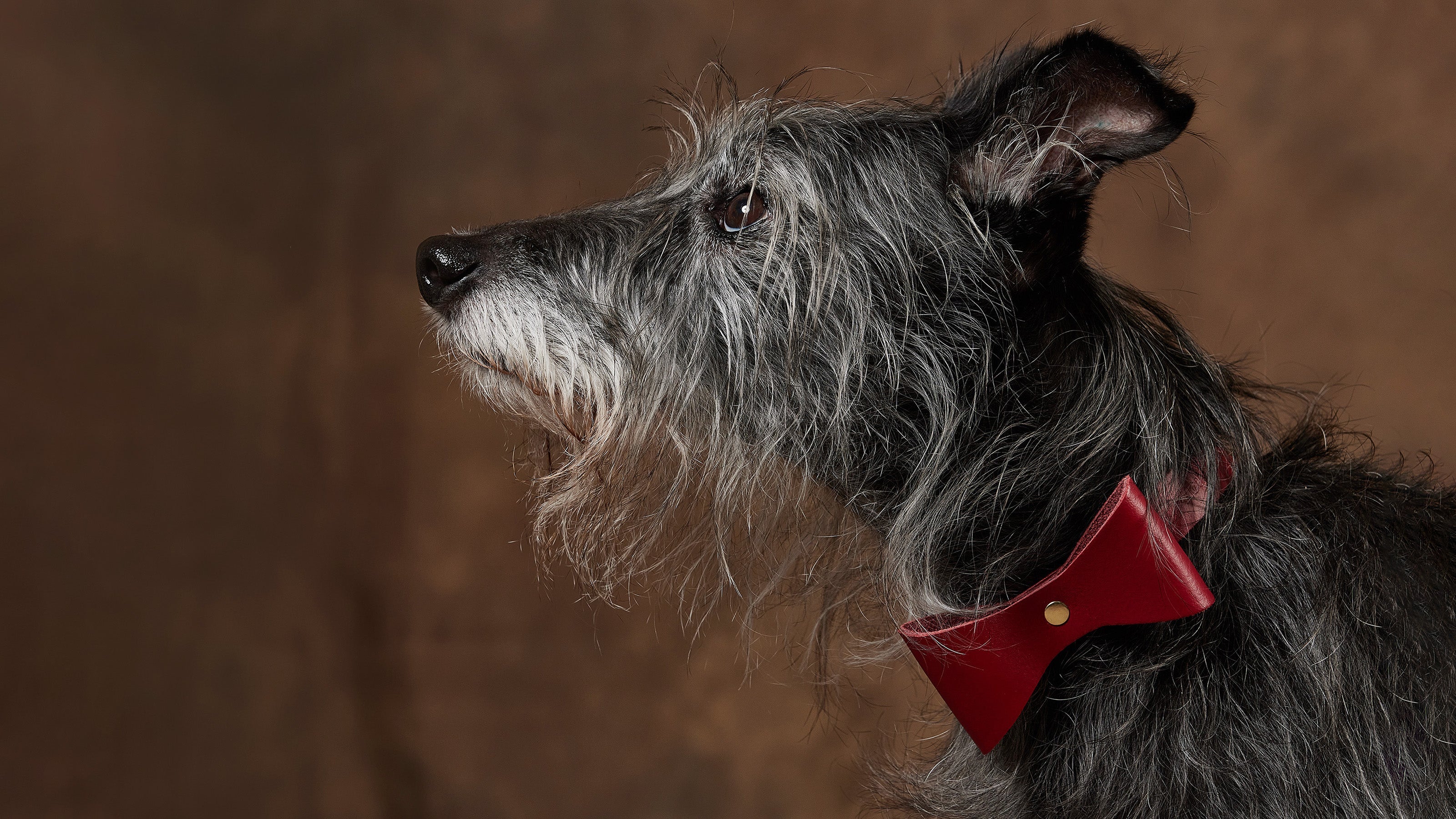 Hand-Crafted Collars