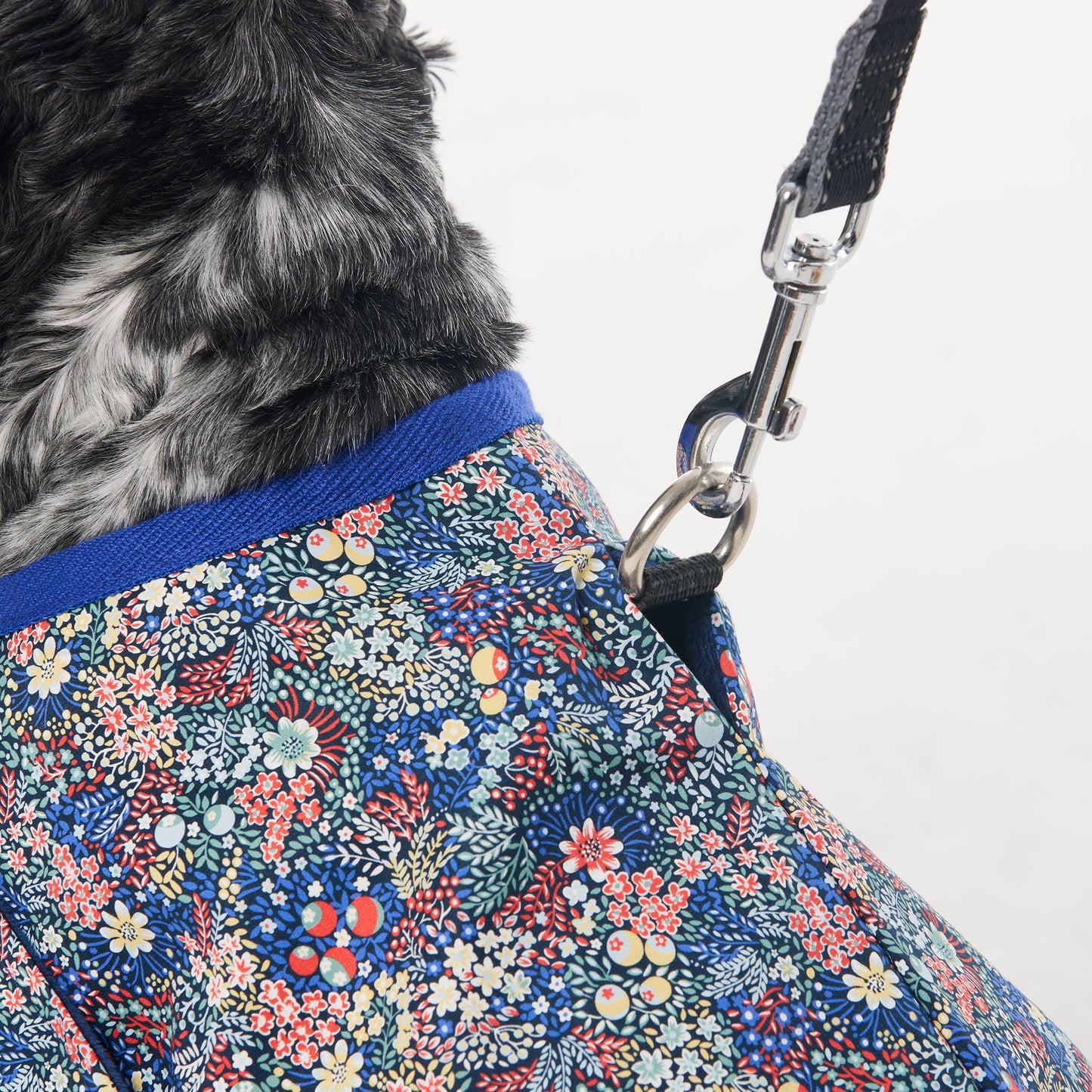 Dog Spray Jacket Birdie Liberty