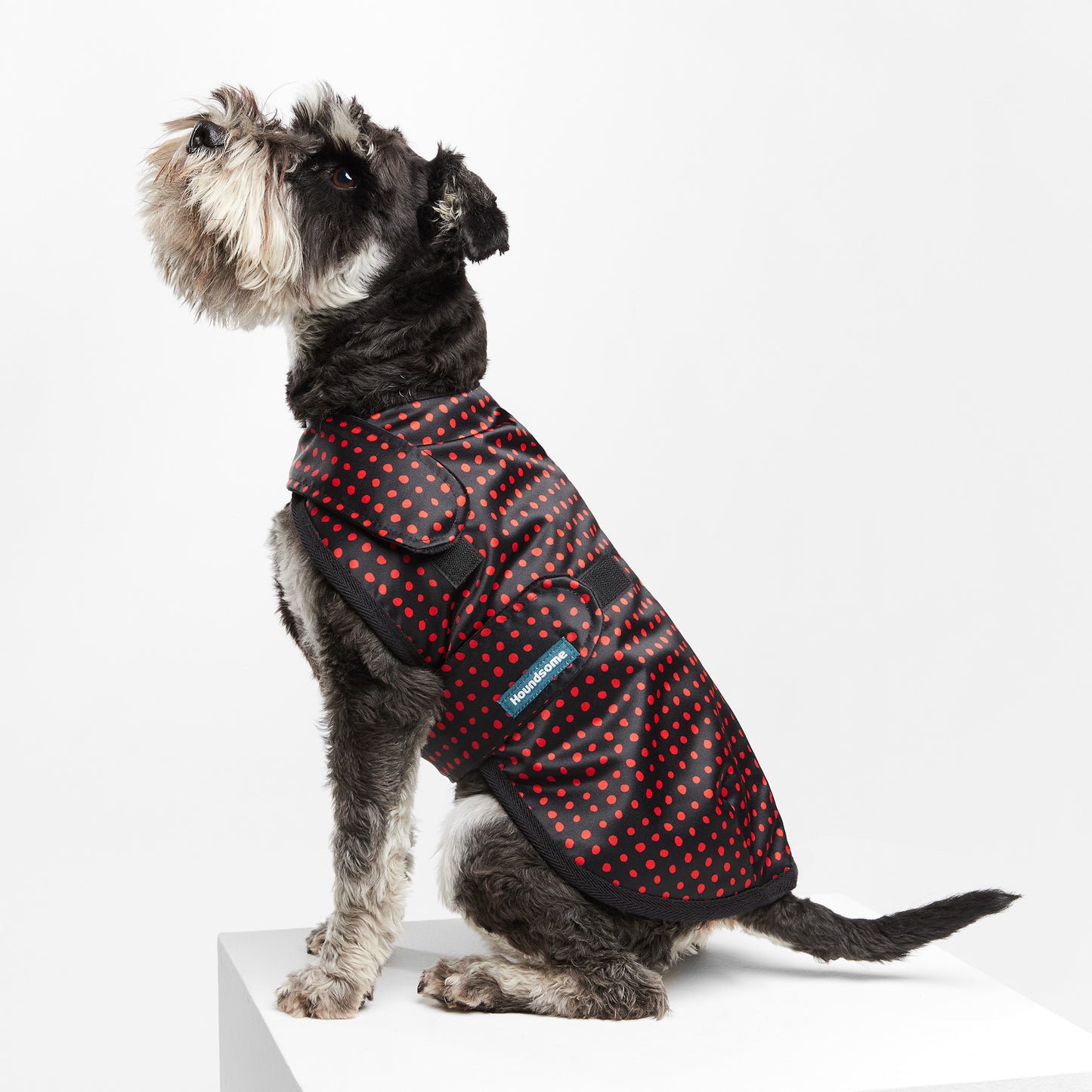 Dog Spray Jacket Birdie Spot