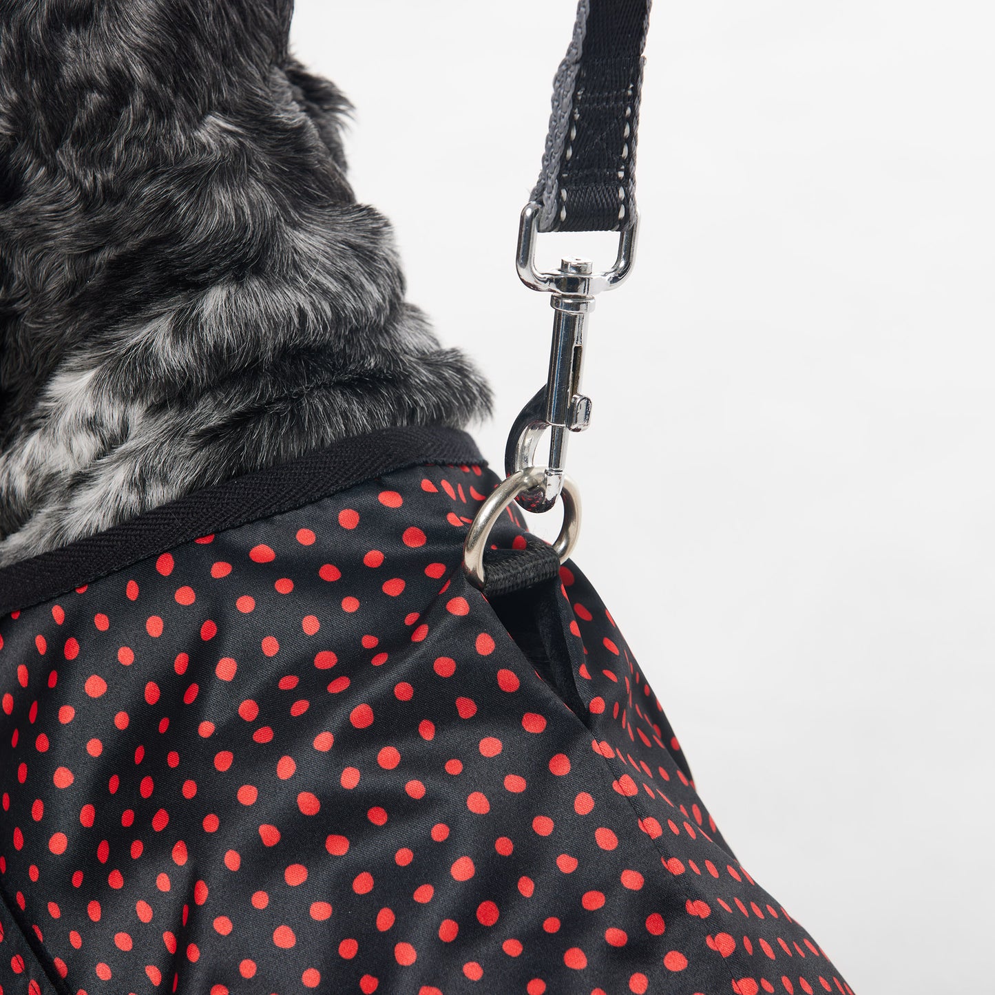 Dog Spray Jacket Birdie Spot