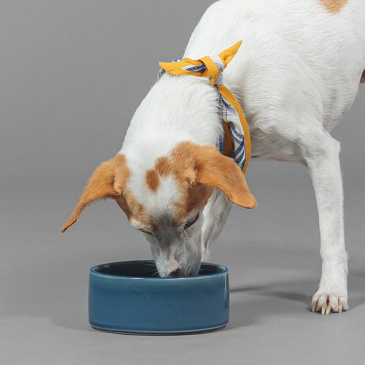 Dog Bowl Aegean Large