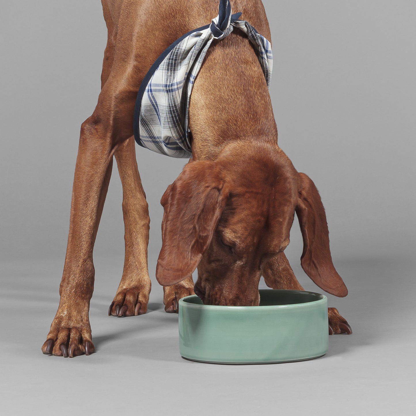 Dog Bowl Sage Large