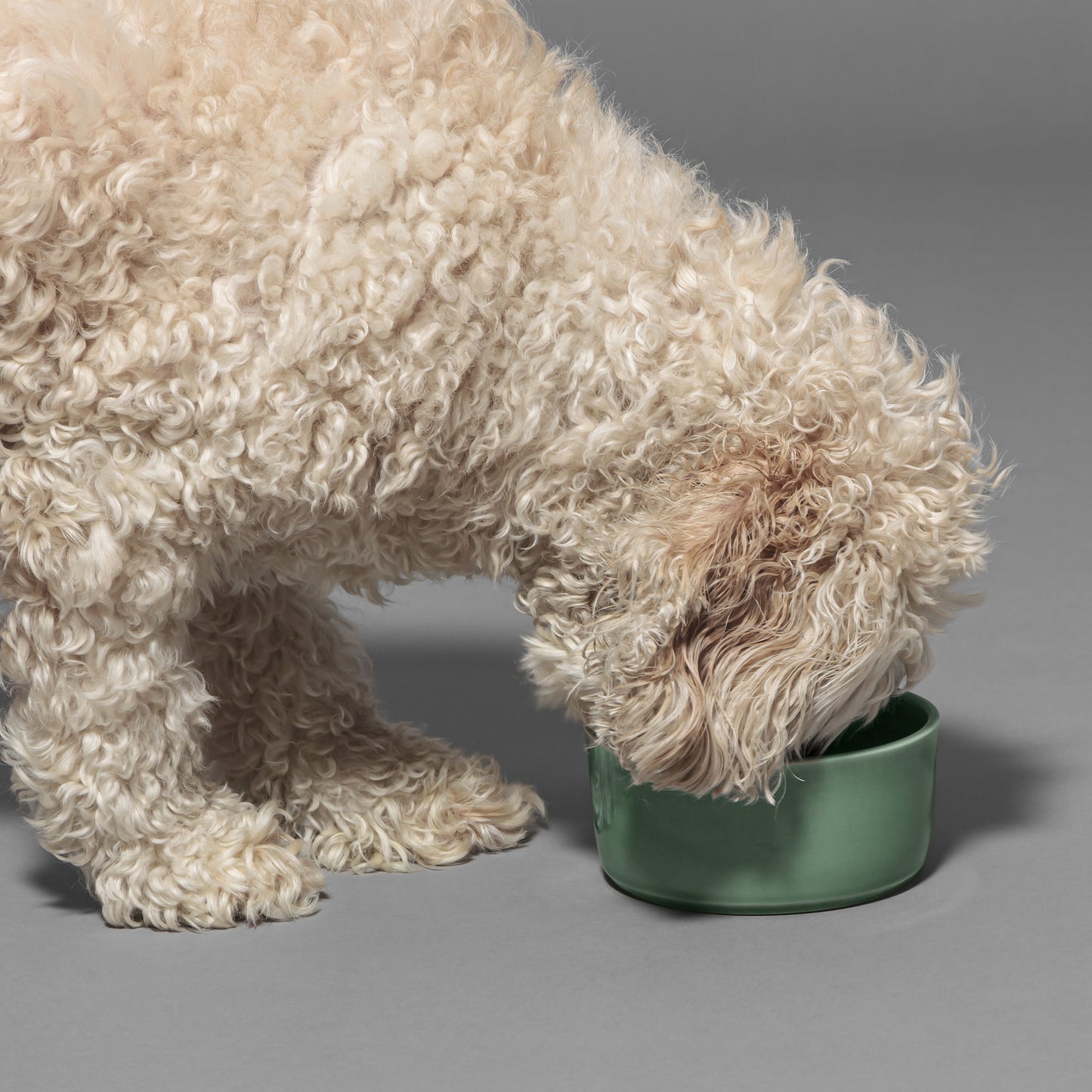 Dog Bowl Sage Small
