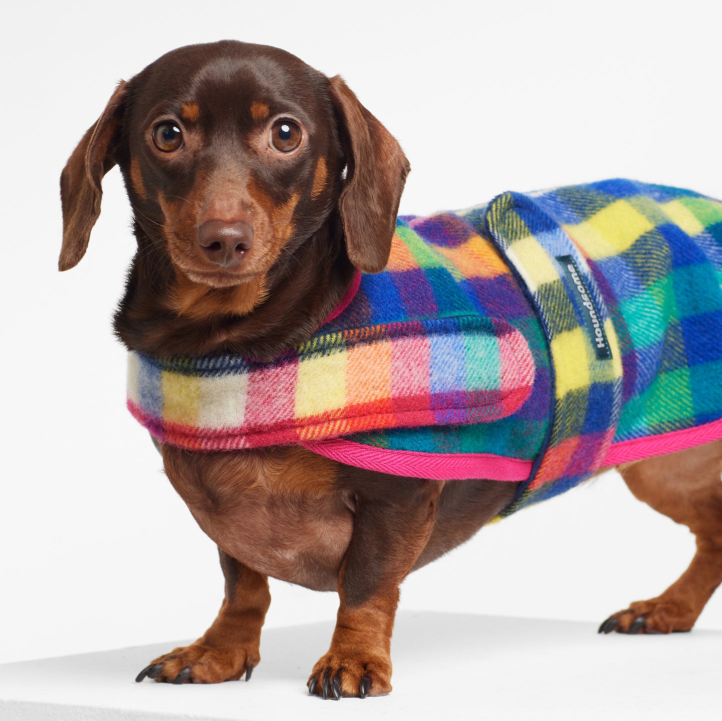 Dachshund Dog Coat Eucalypt Pink