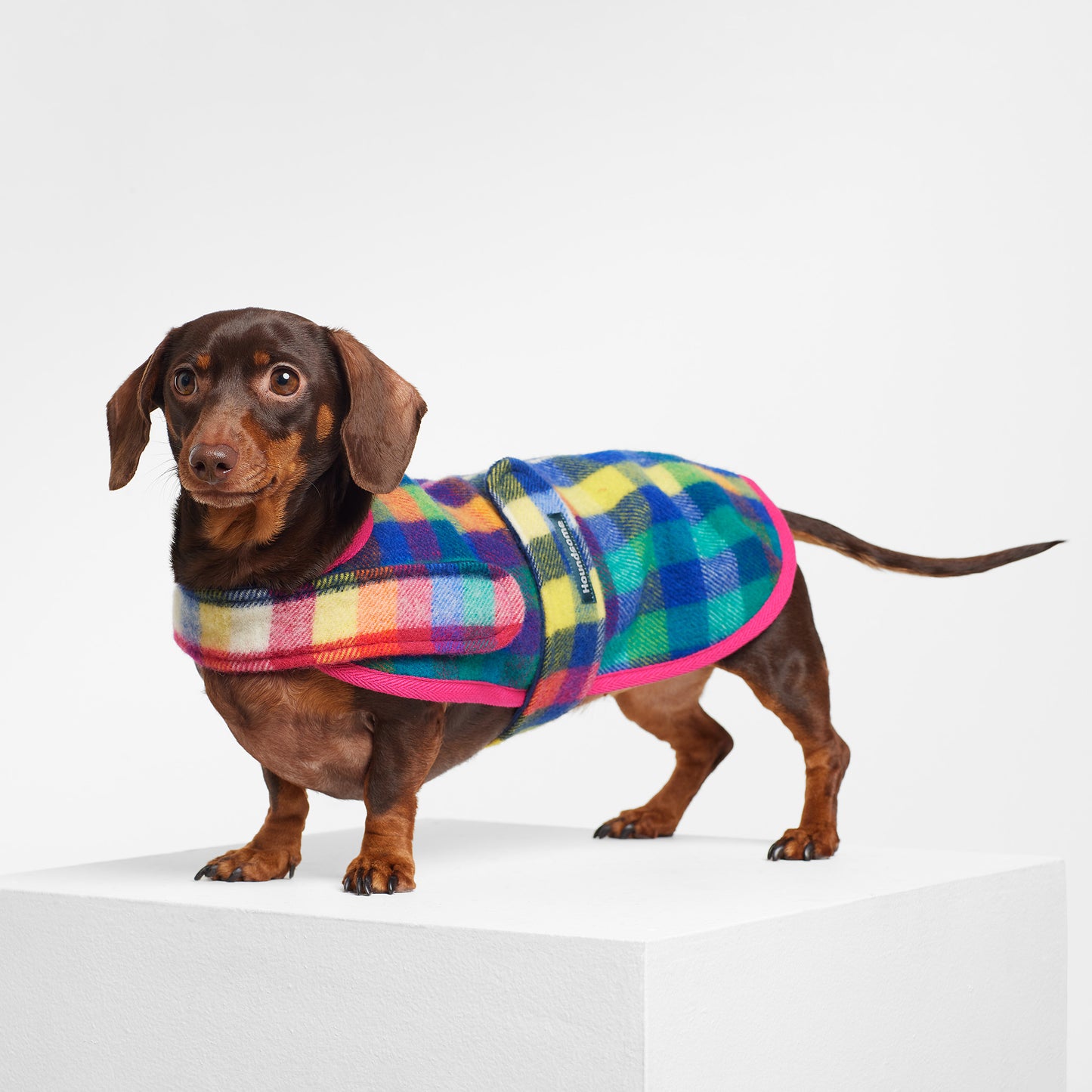 Dachshund Dog Coat Eucalypt Pink