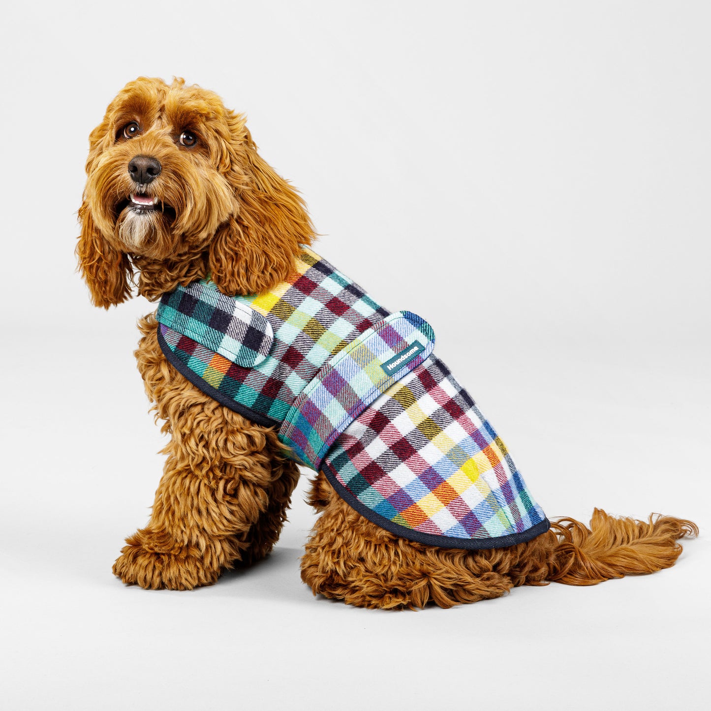 Dog Coat Banksia