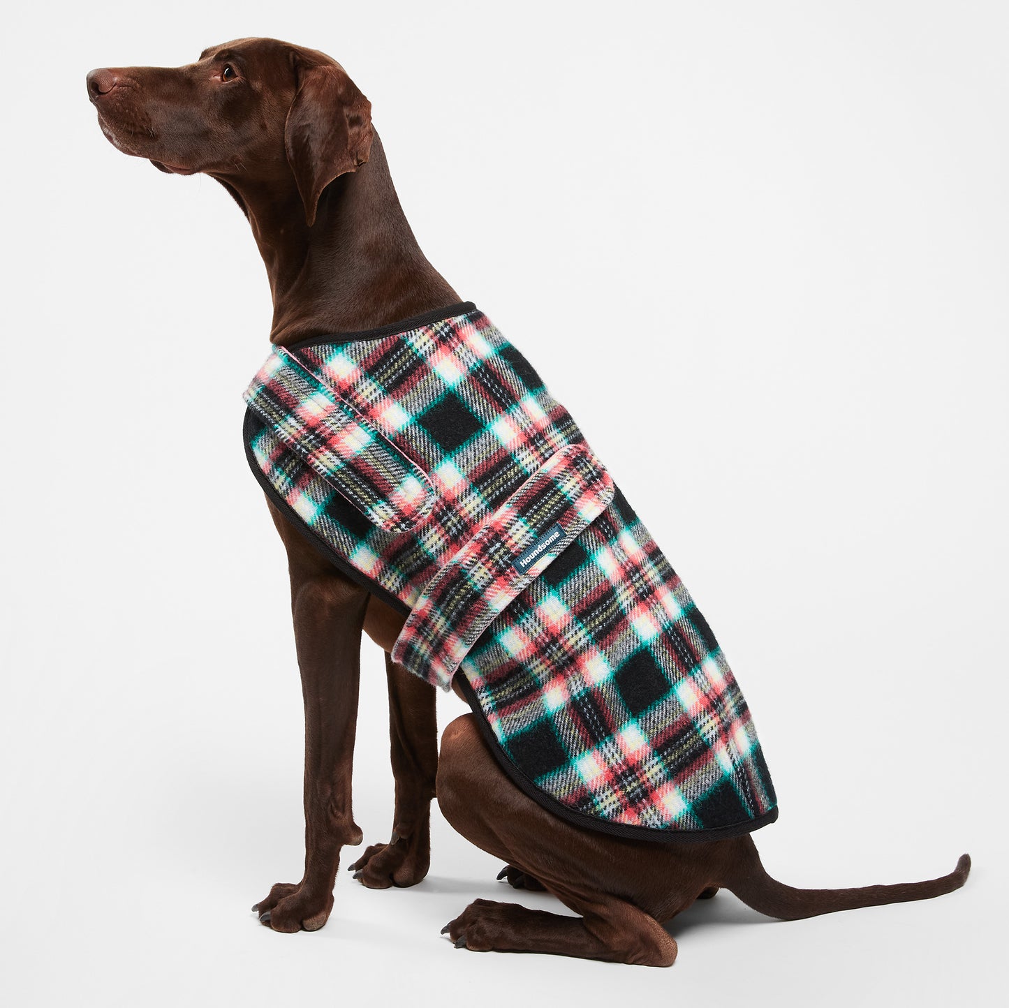 Dog Coat Black Cockatoo Coral
