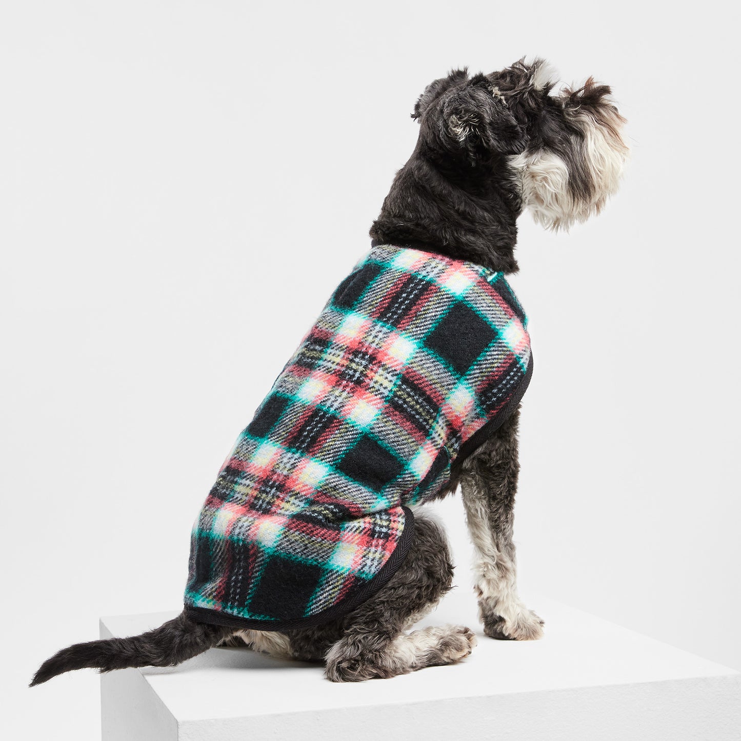Dog Coat Black Cockatoo Teal