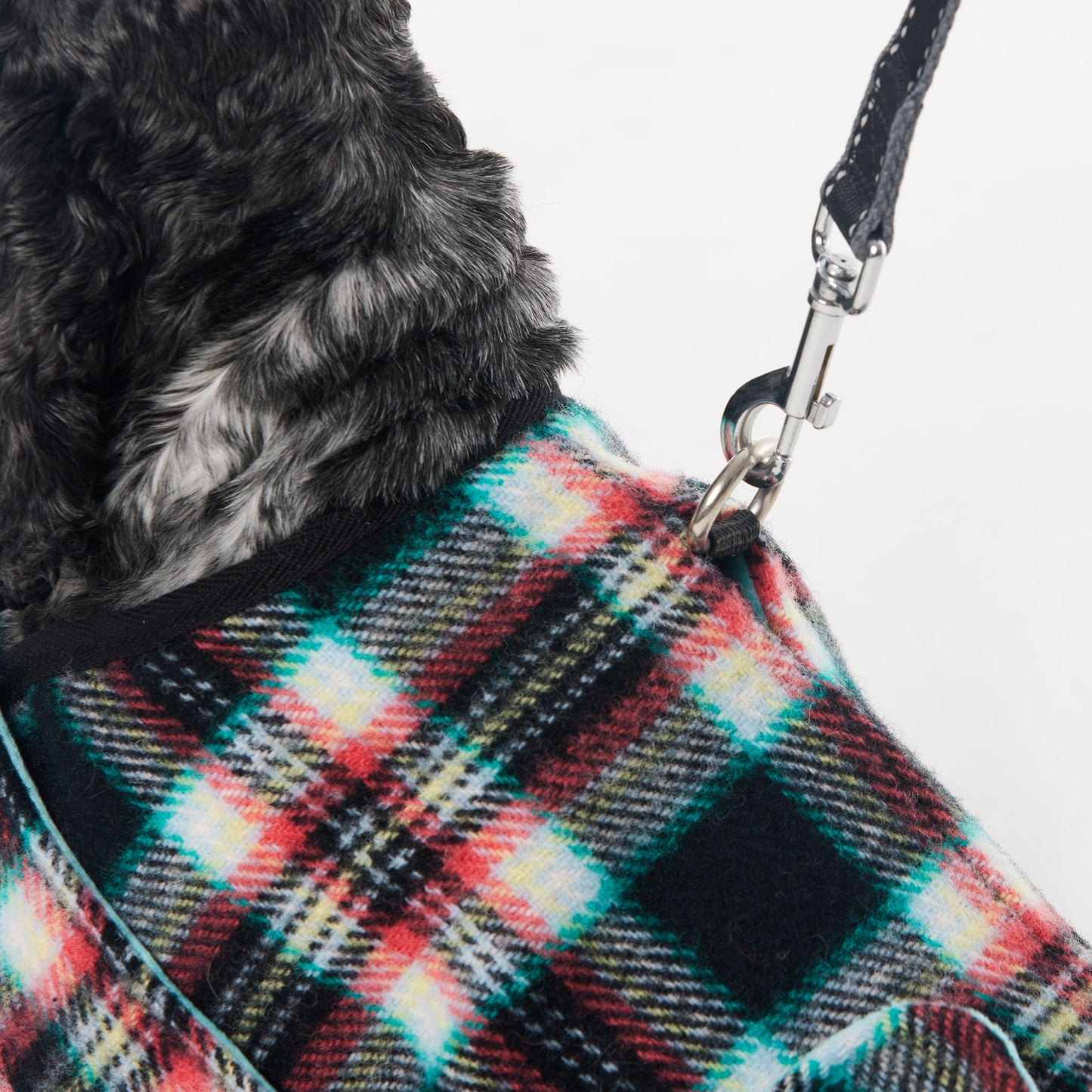 Dog Coat Black Cockatoo Teal