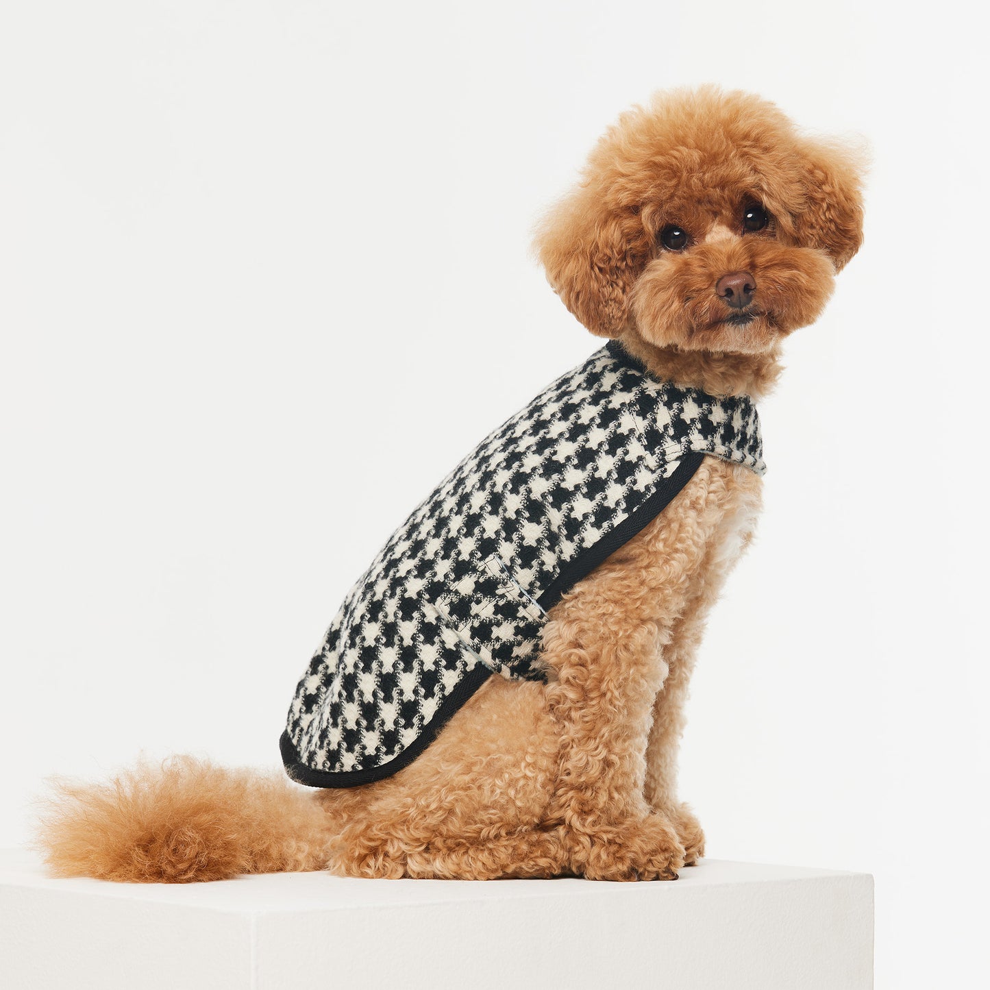 Dog Coat Coco Houndstooth