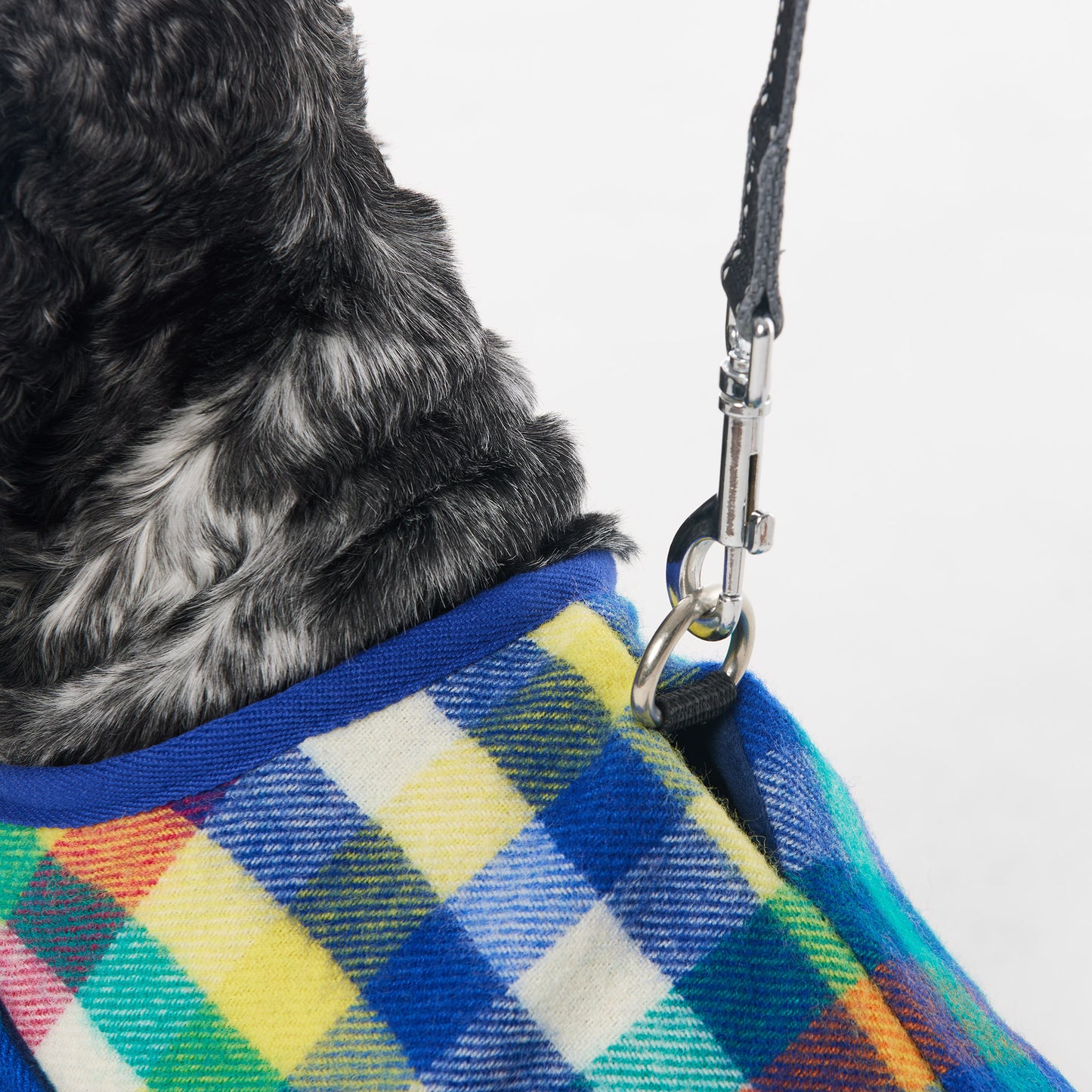 Dog Coat Eucalypt Blue