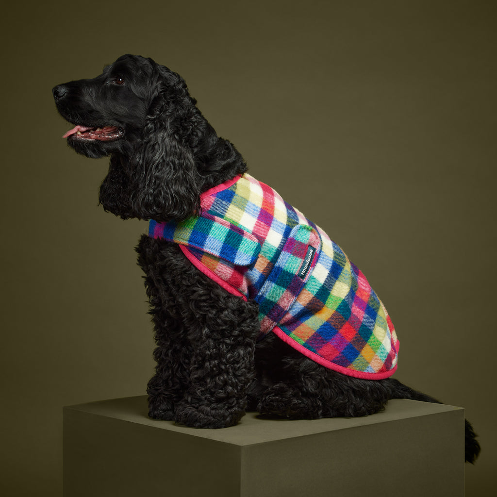 Dog Coat Grevillea Pink
