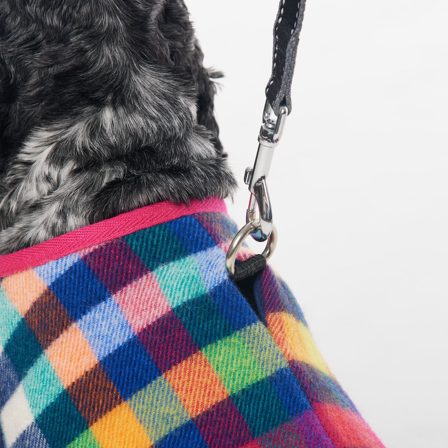 Dachshund Dog Coat Eucalypt Pink