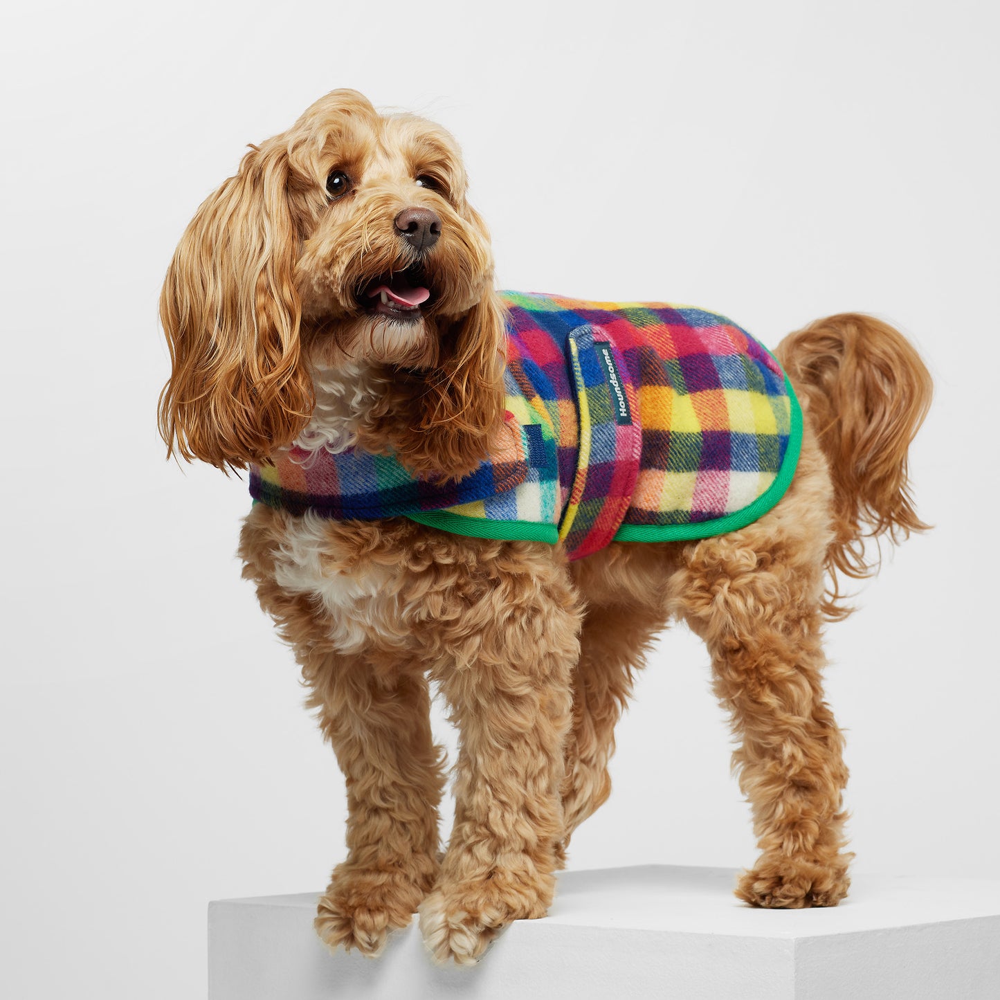 Dog Coat Grevillea Green