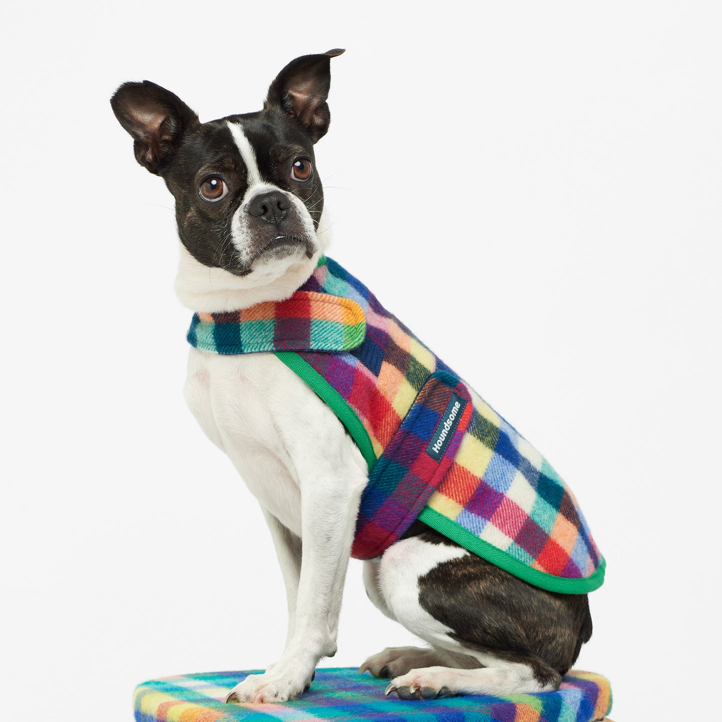 Dog Coat Grevillea Green