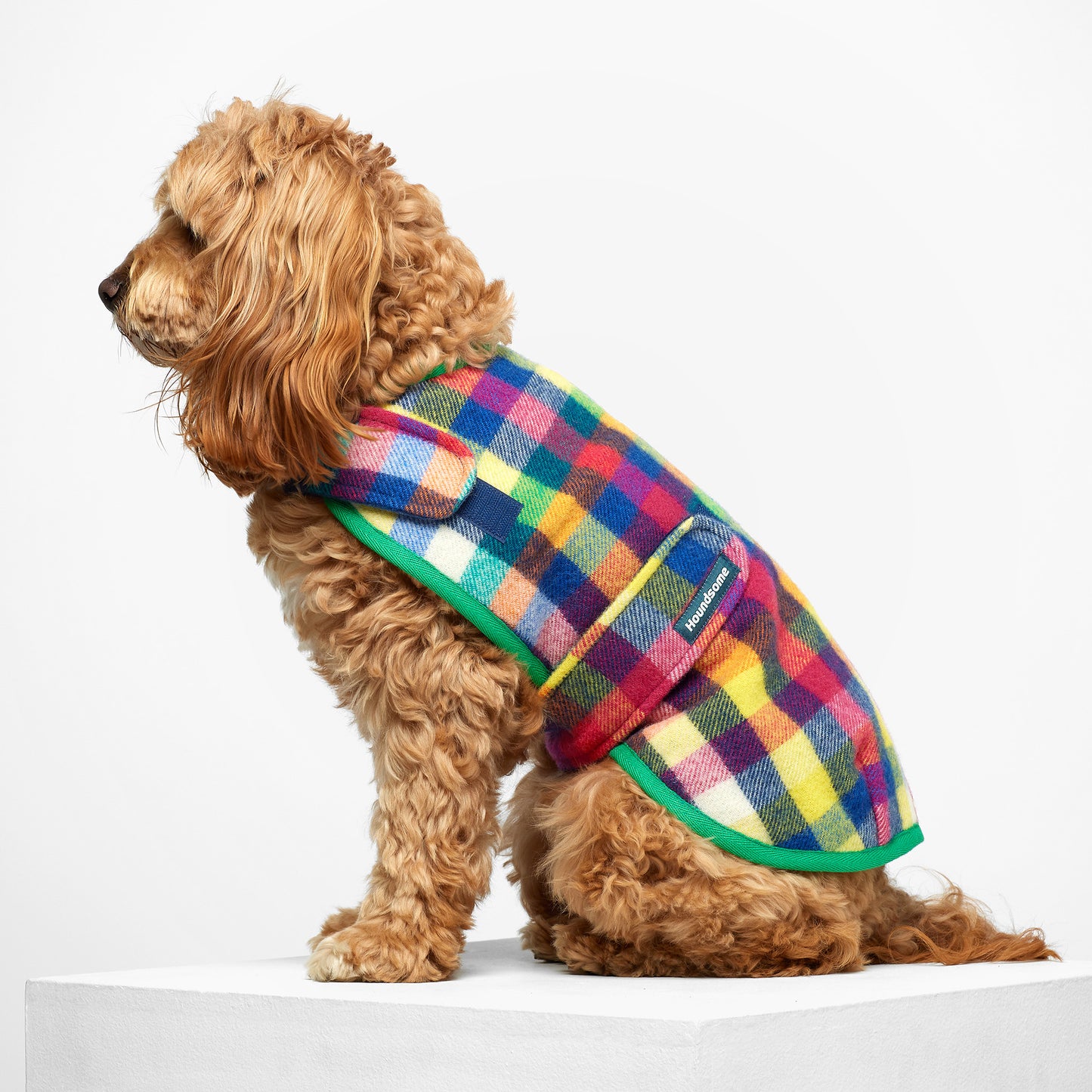 Dog Coat Grevillea Green