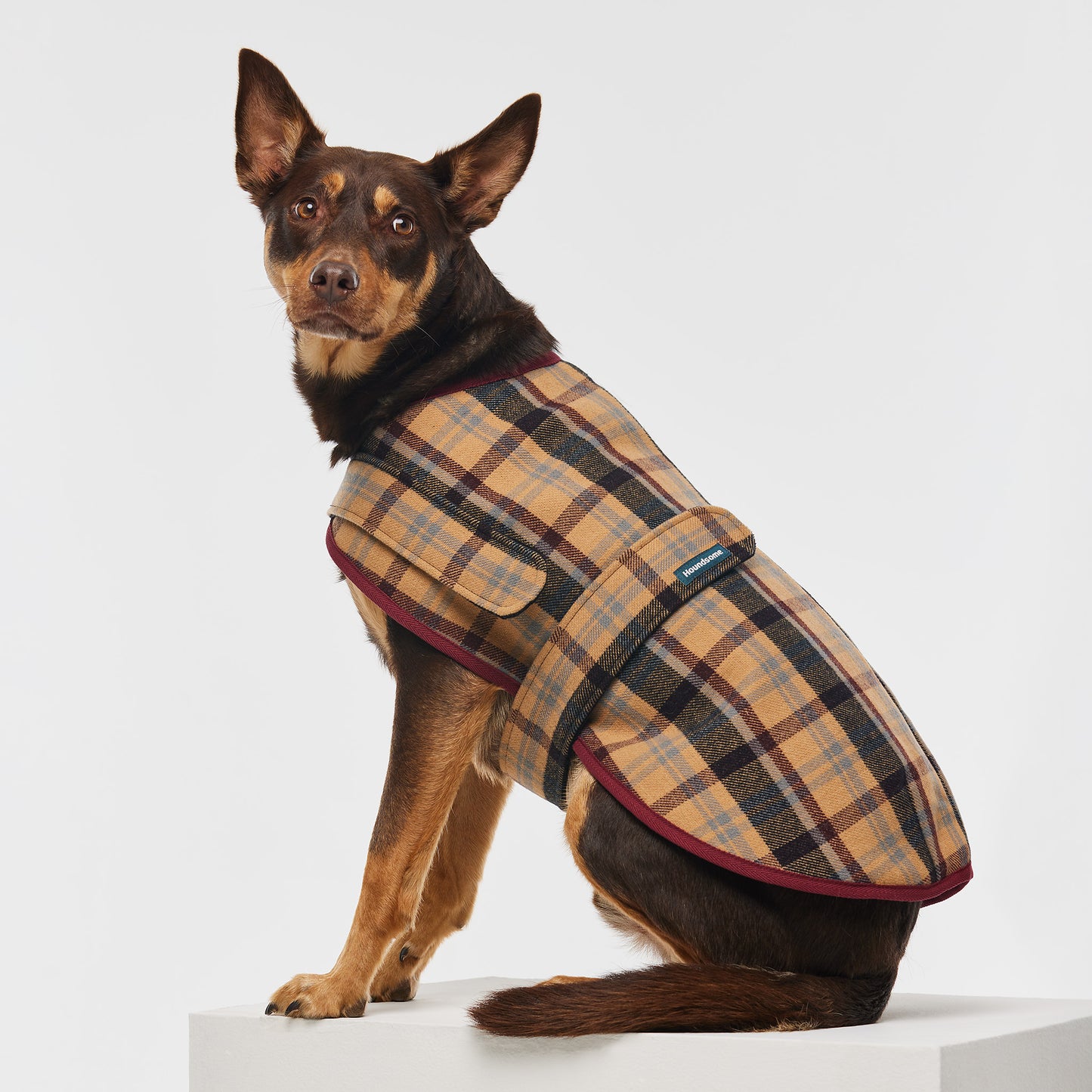 Dog Coat Highland Plaid