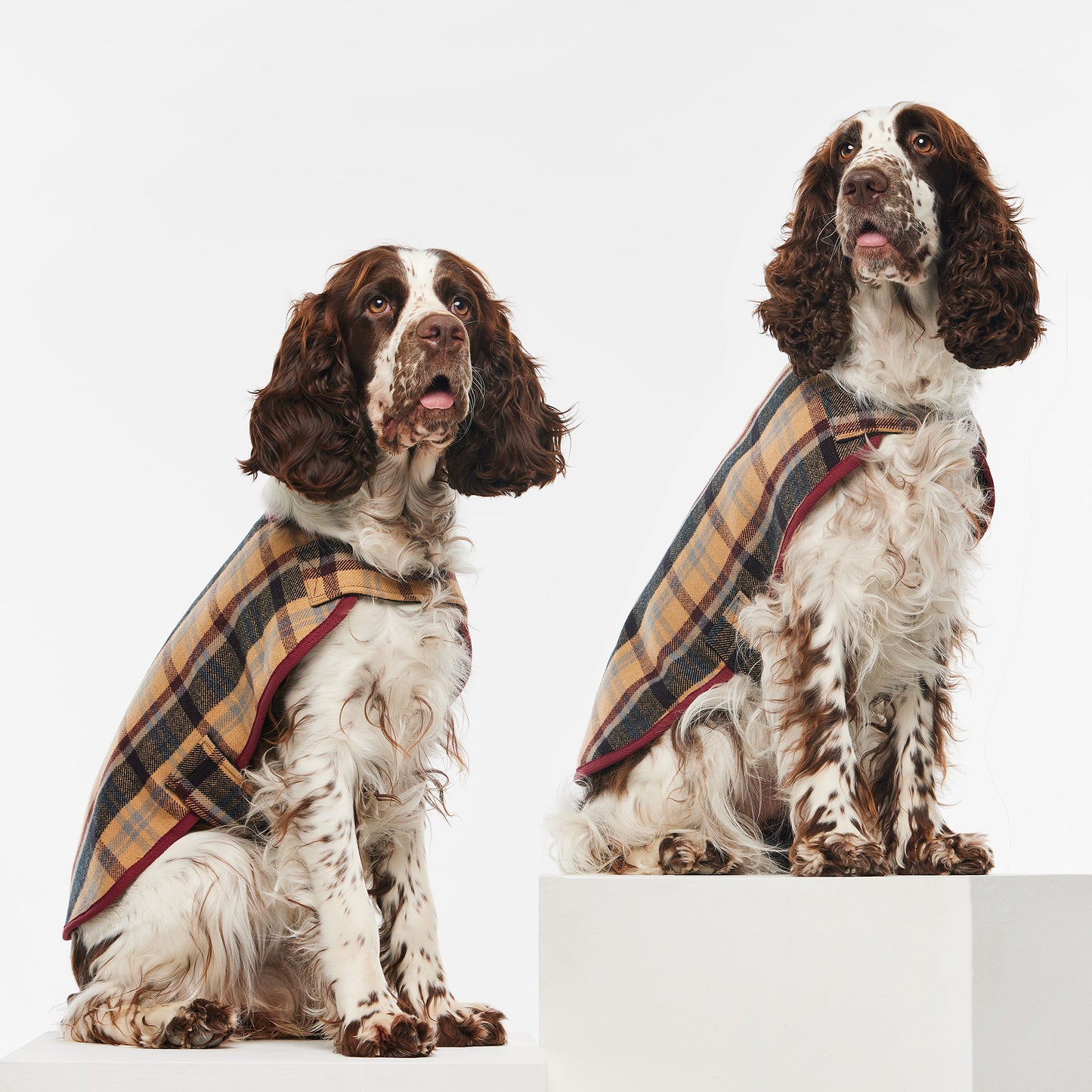 Dog Coat Highland Plaid