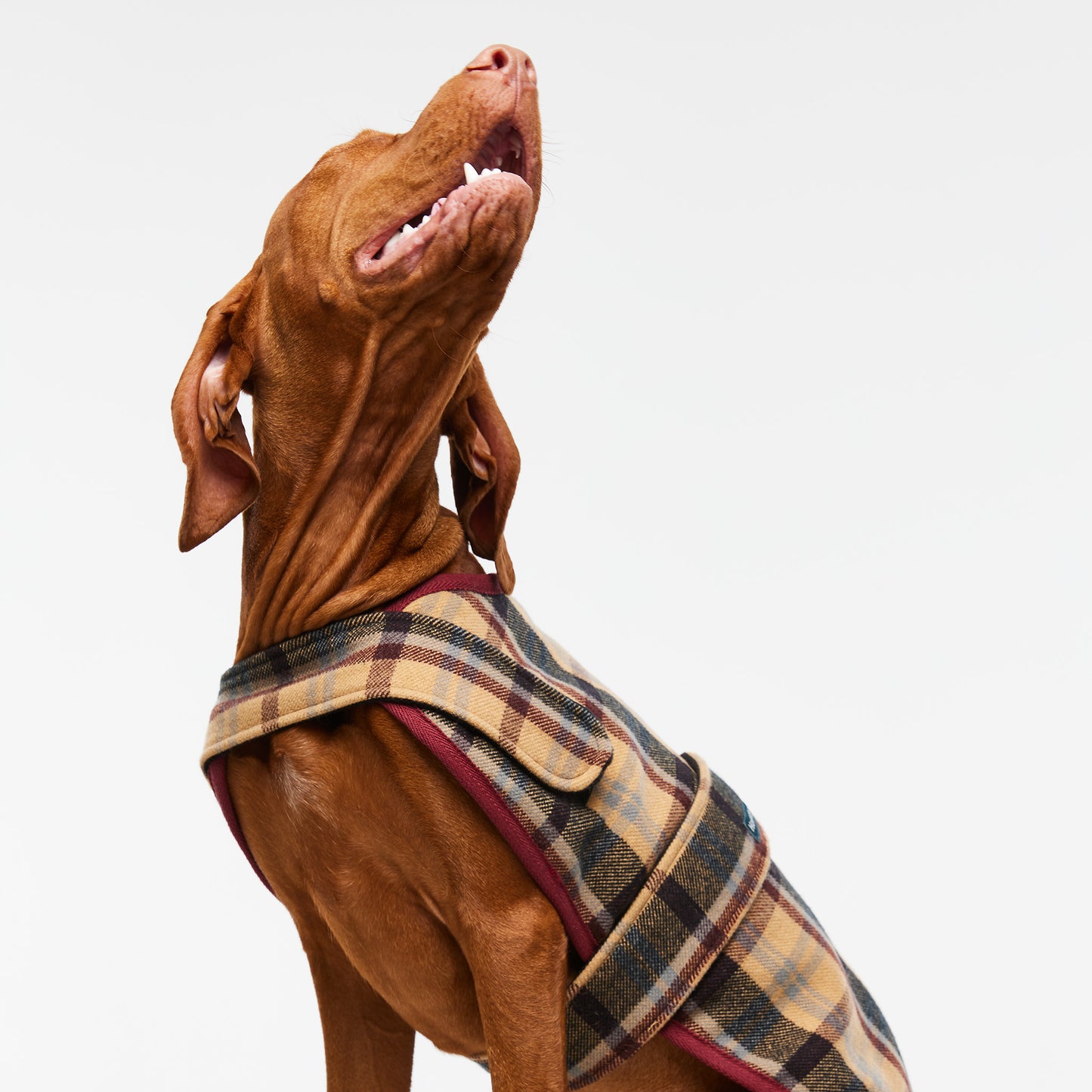 Dog Coat Highland Plaid