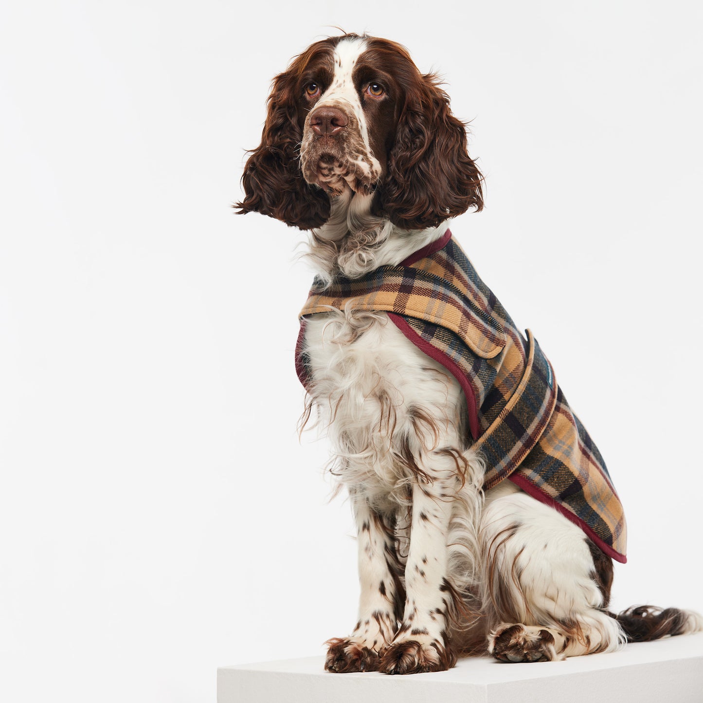 Dog Coat Highland Plaid