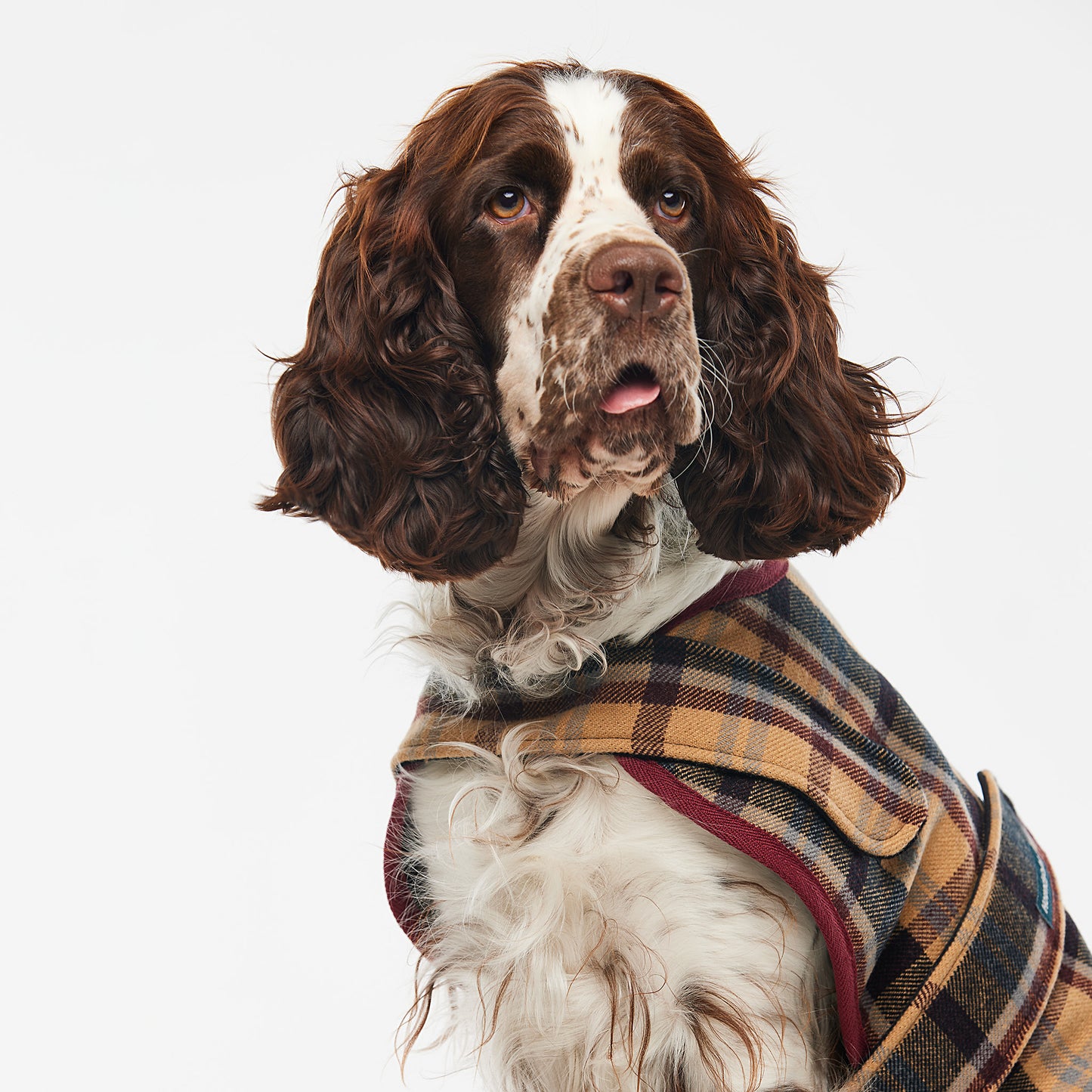 Dog Coat Highland Plaid