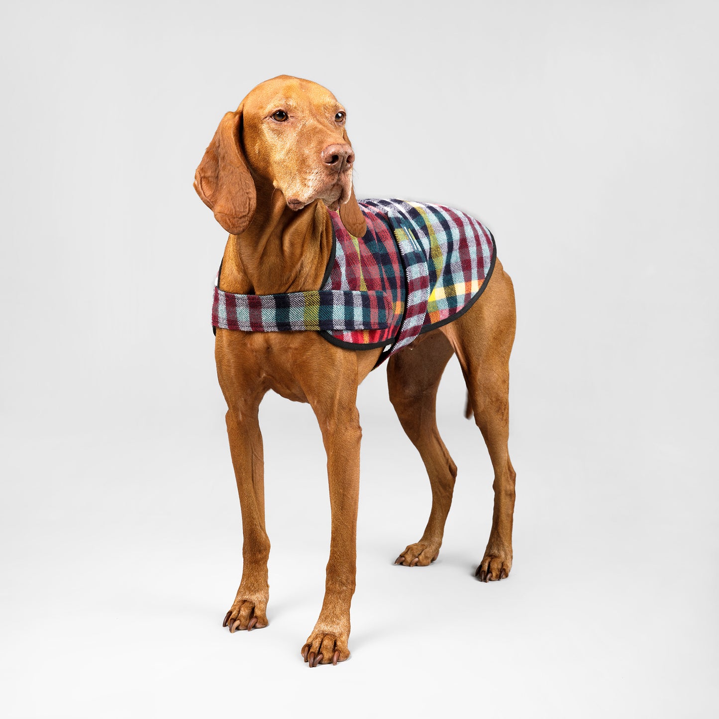 Dog Coat Lilly Pilly
