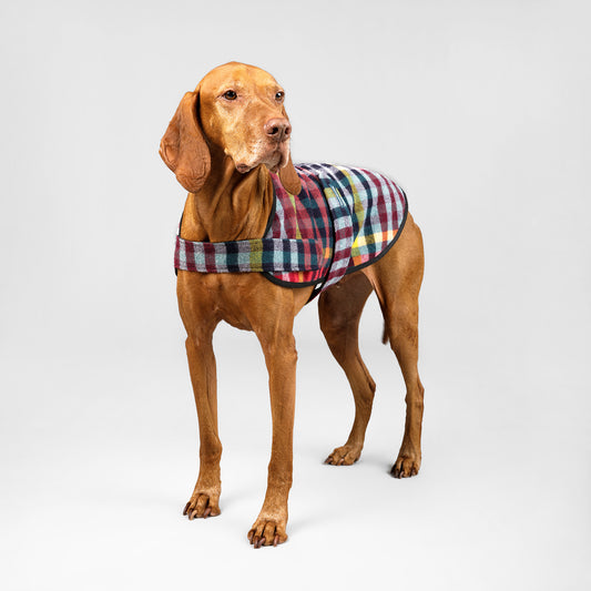 Dog Coat Lilly Pilly