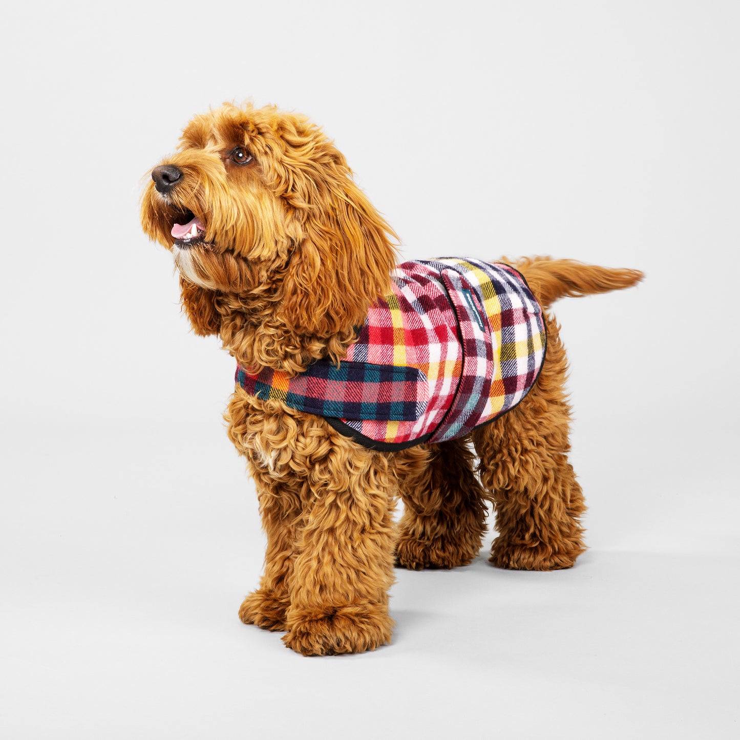 Dog Coat Lilly Pilly