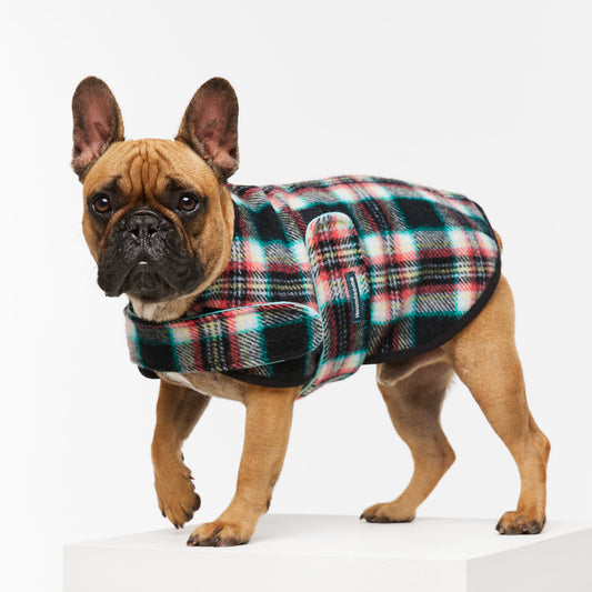 French Bulldog Coat Black Cockatoo Teal