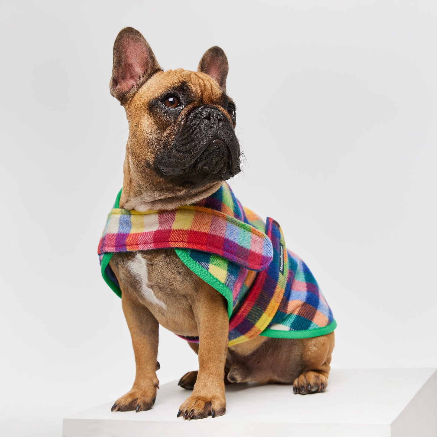 French Bulldog Coat Grevillea Green