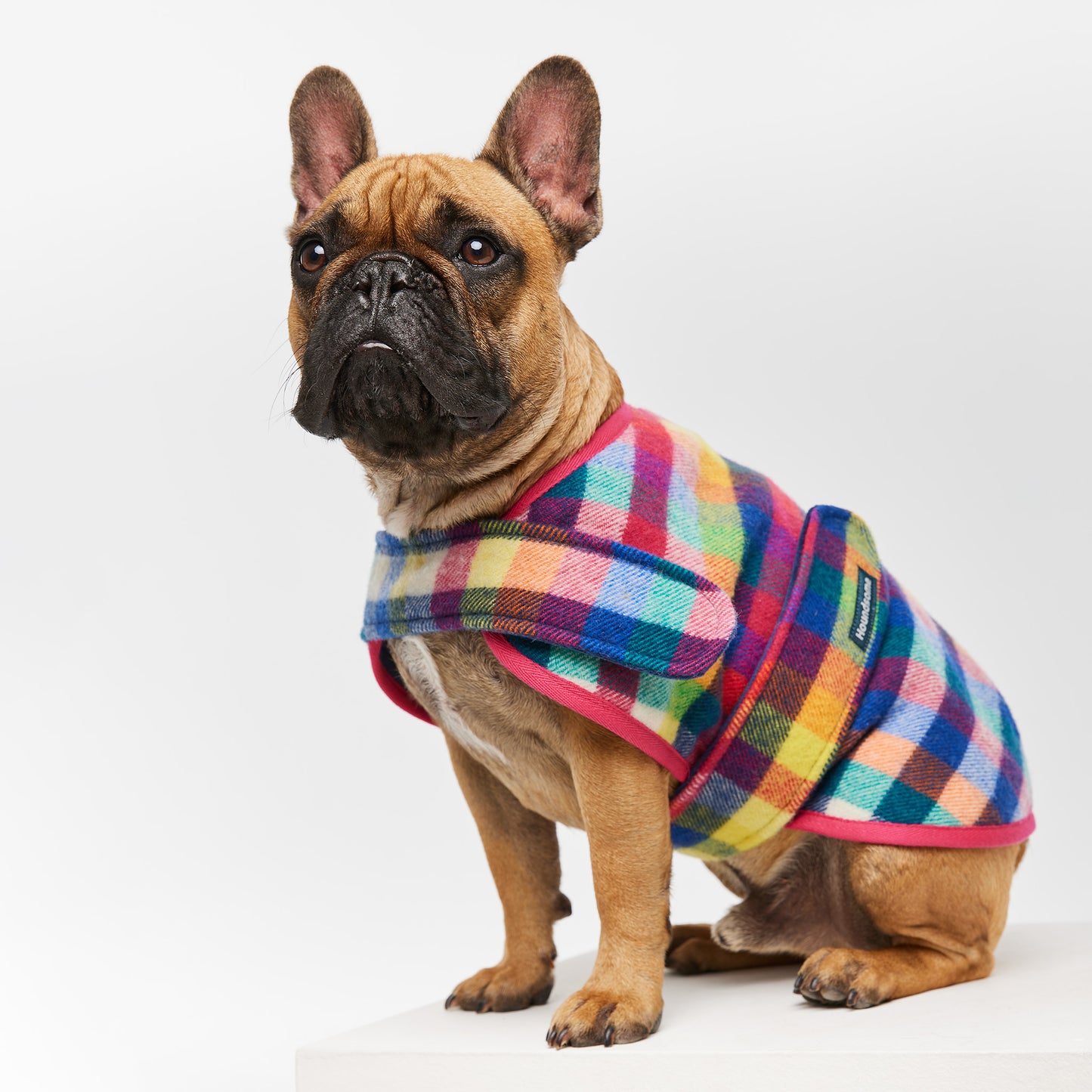 French Bulldog Coat Grevillea Pink