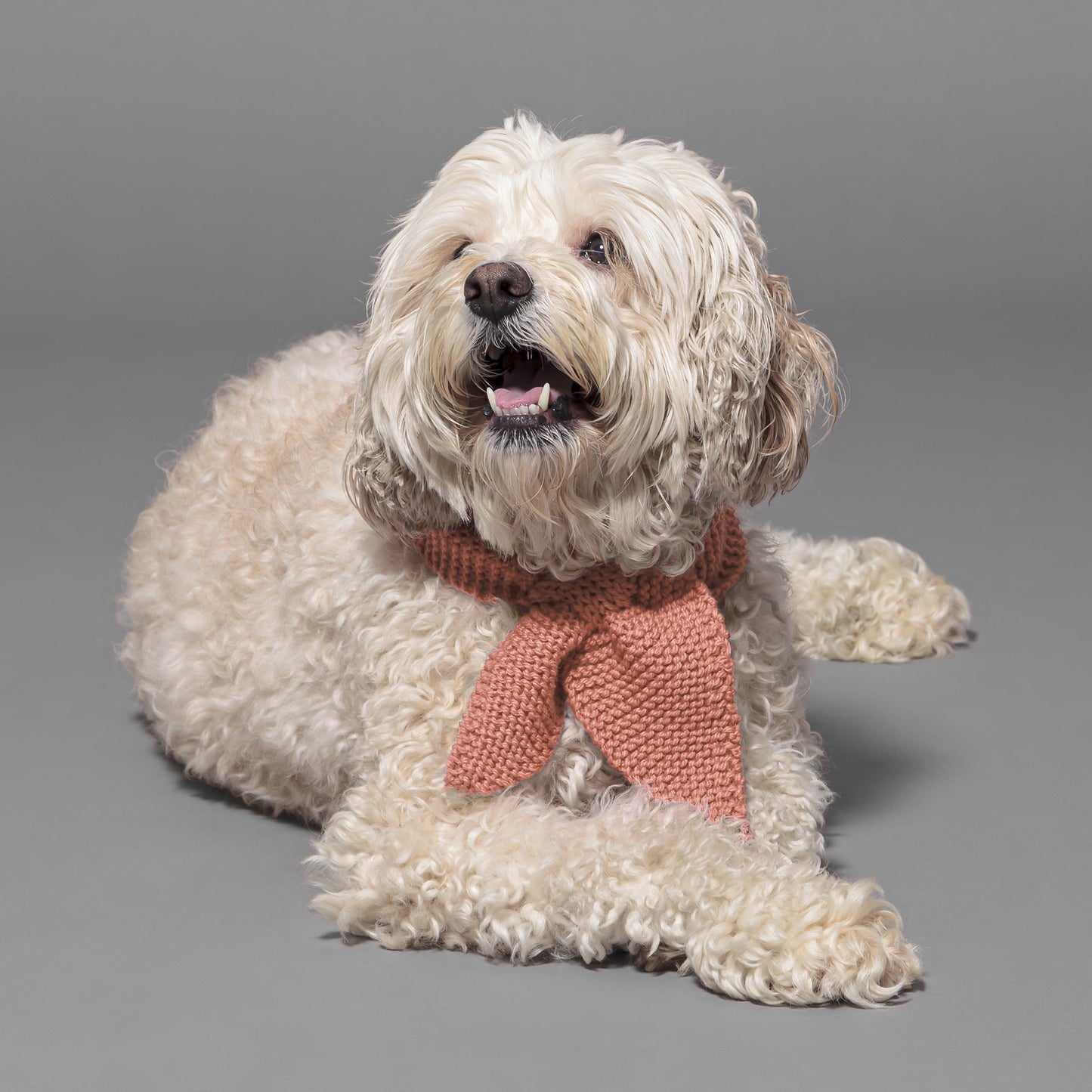 Dog Scarf Coral Haze Medium