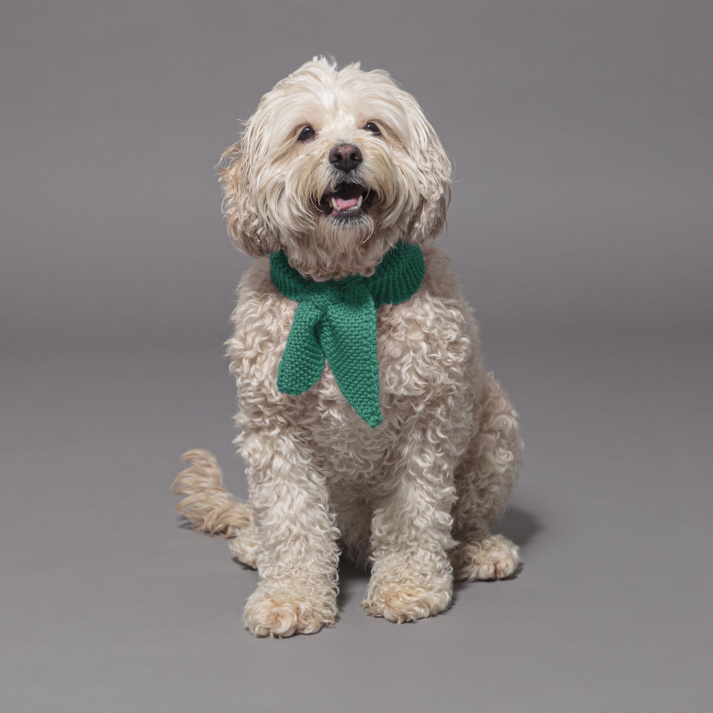 Dog Scarf Sea Medium