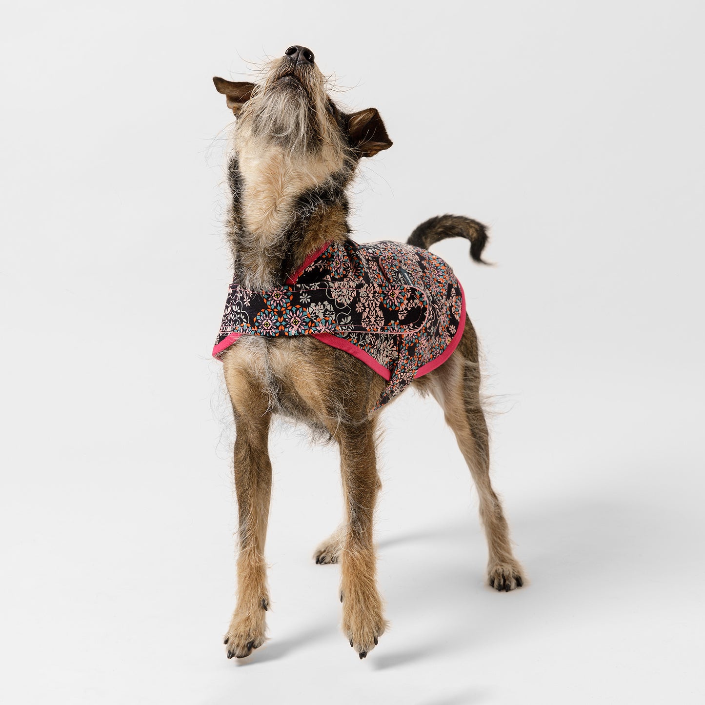 Dog Jacket Denim Coral Haze