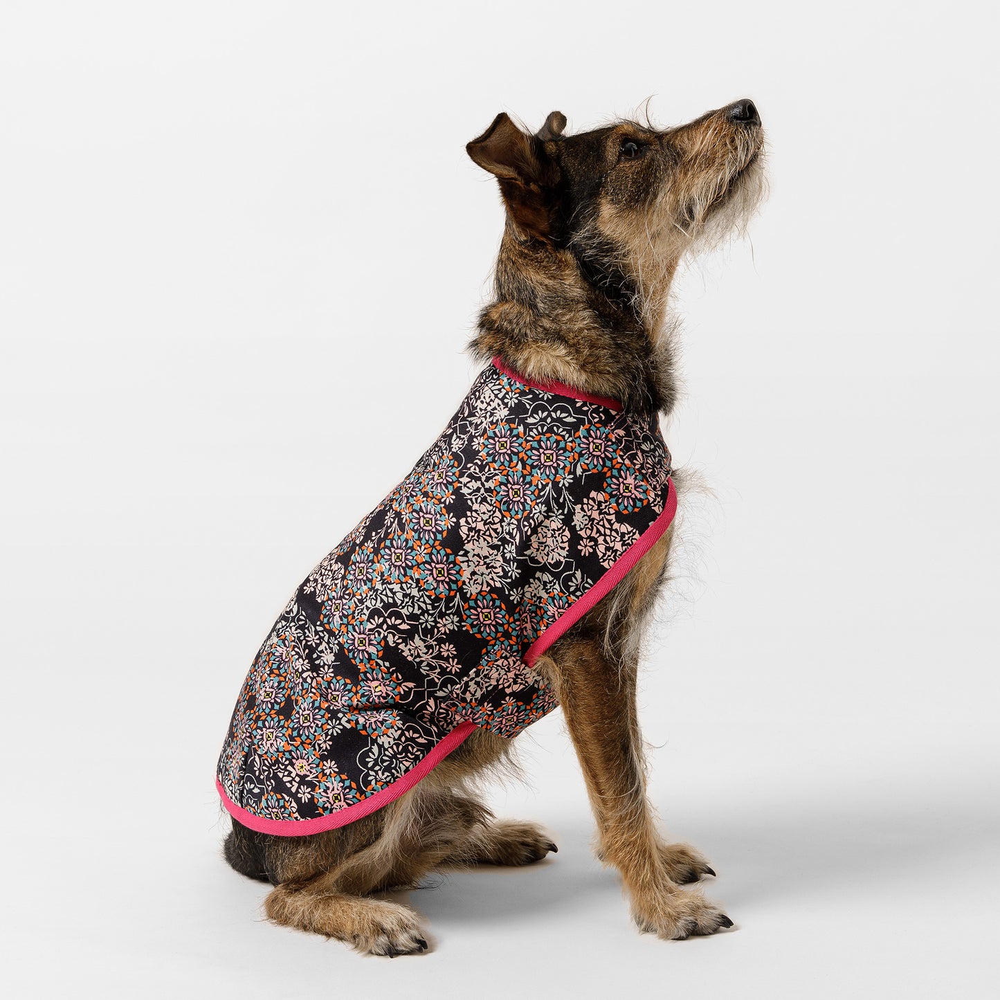 Dog Jacket Denim Coral Haze