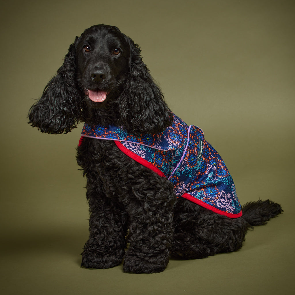Dog Jacket Denim Wisteria