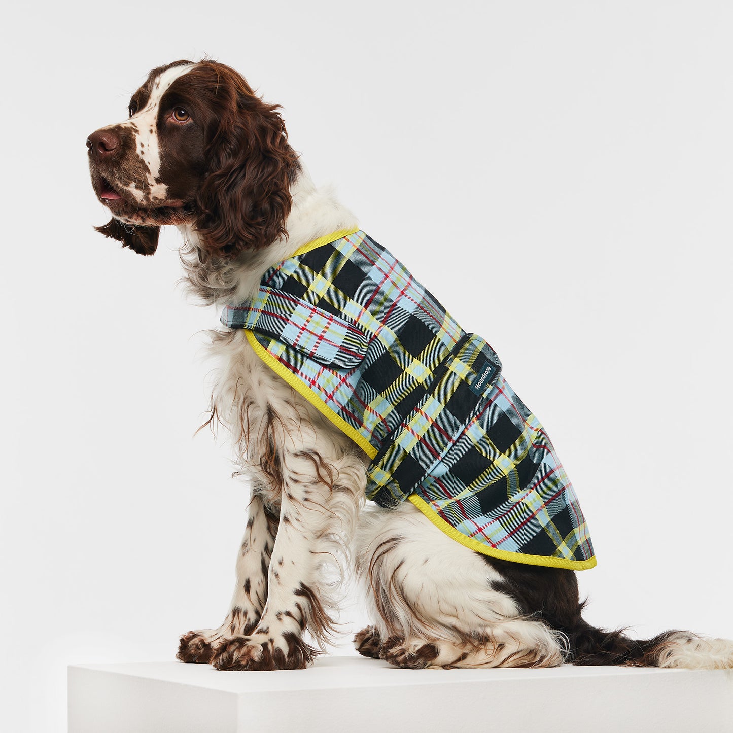 Dog Jacket Tartan Blue