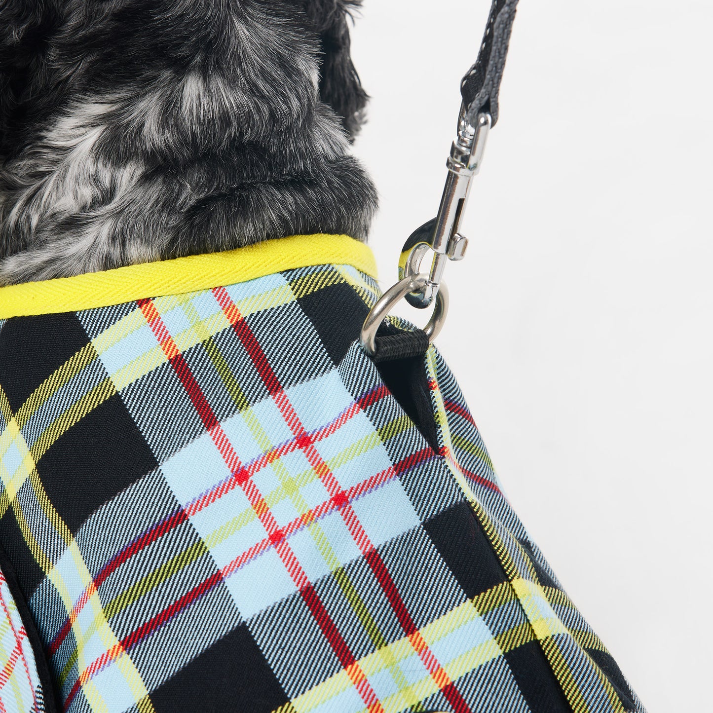 Dachshund Dog Jacket Tartan Blue