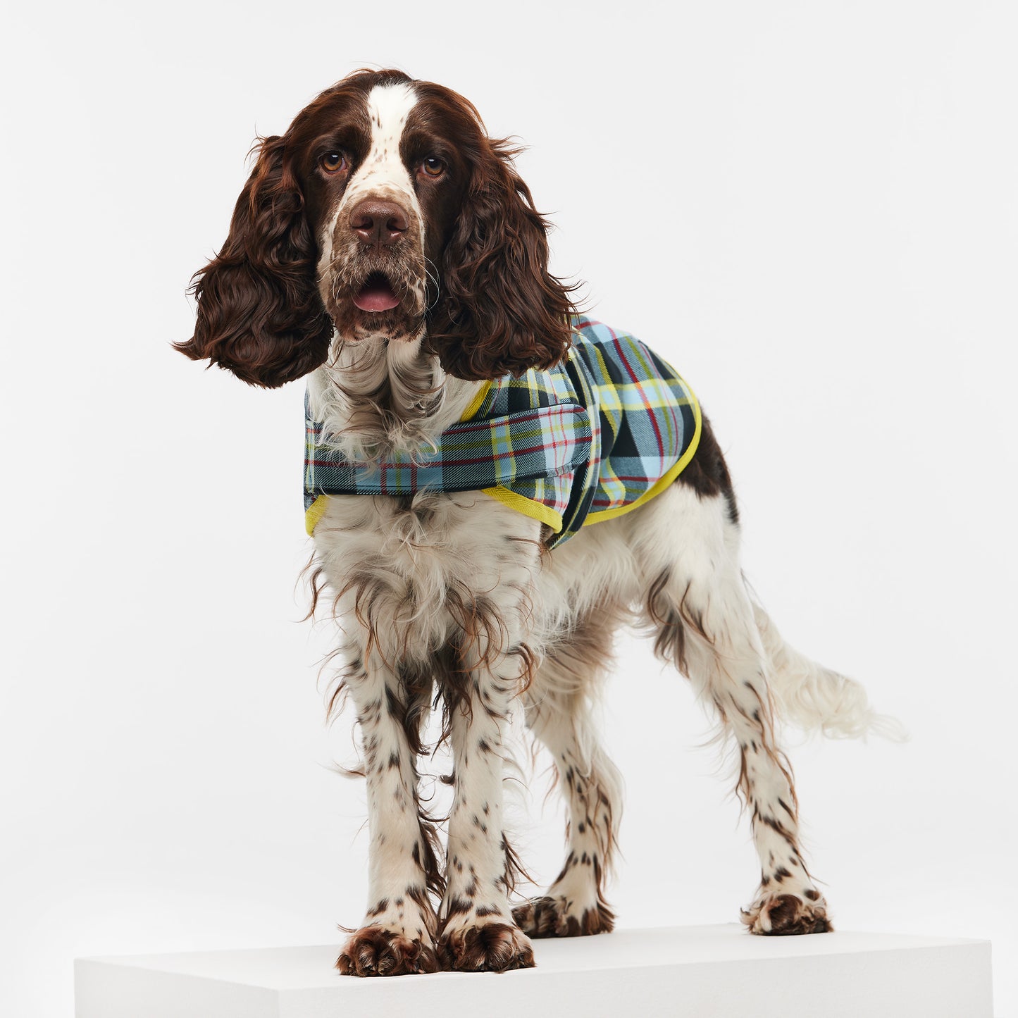 Dog Jacket Tartan Blue