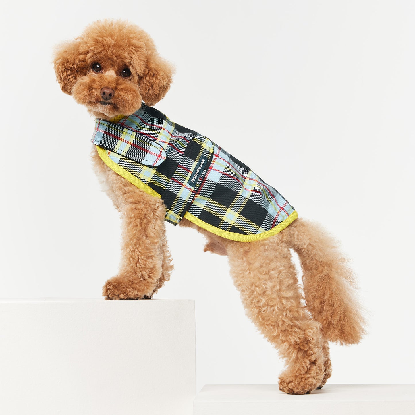 Dog Jacket Tartan Blue