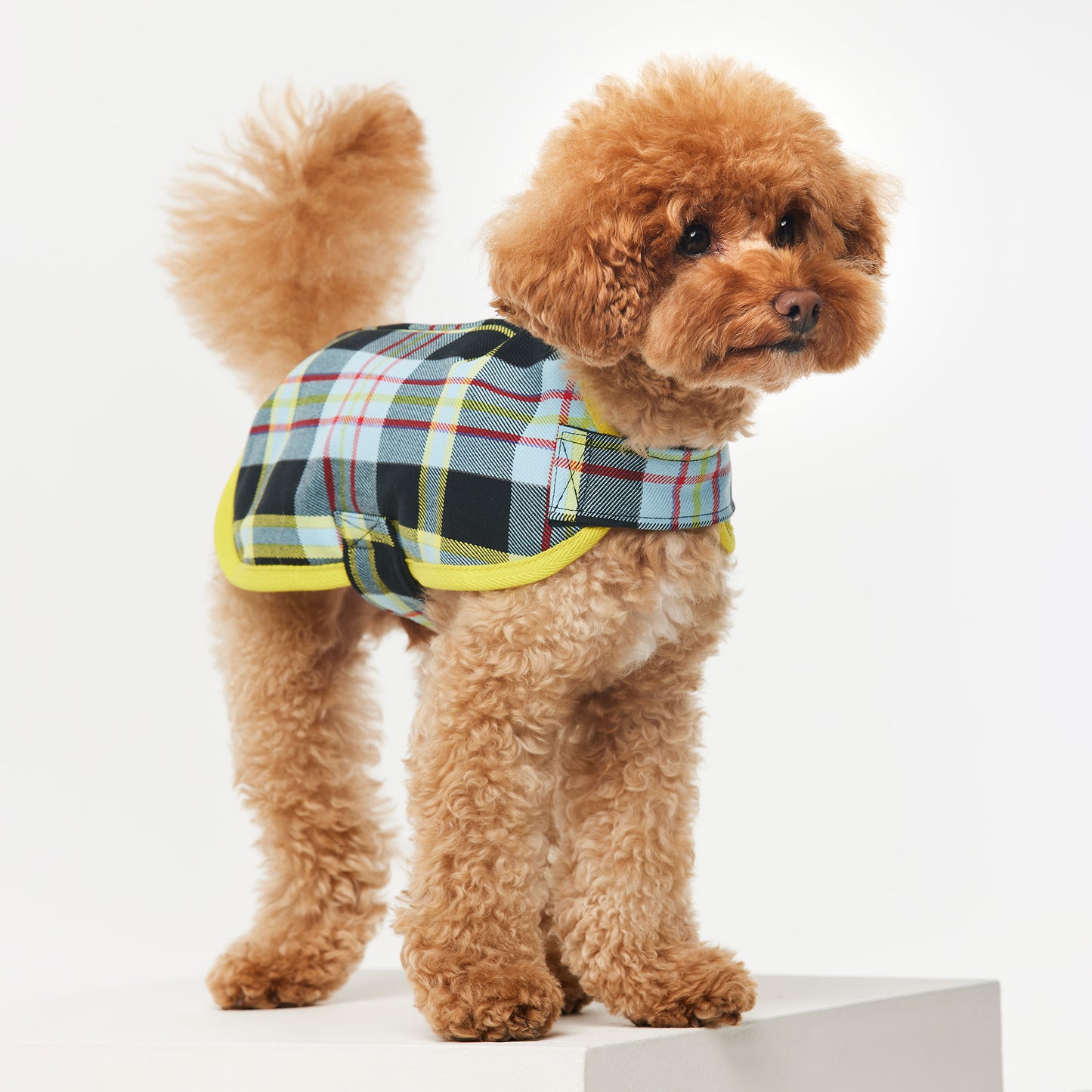 Dog Jacket Tartan Blue