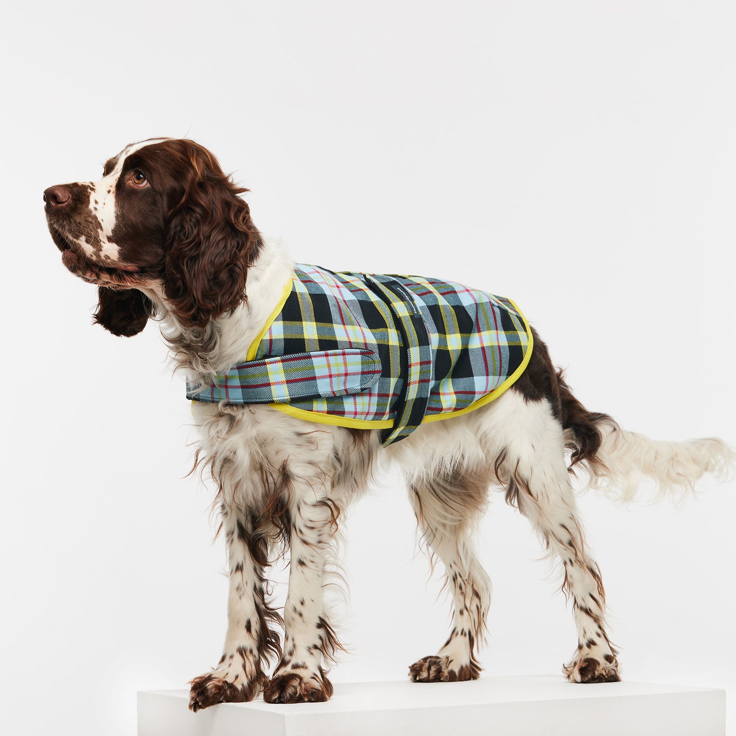 Dog Jacket Tartan Blue