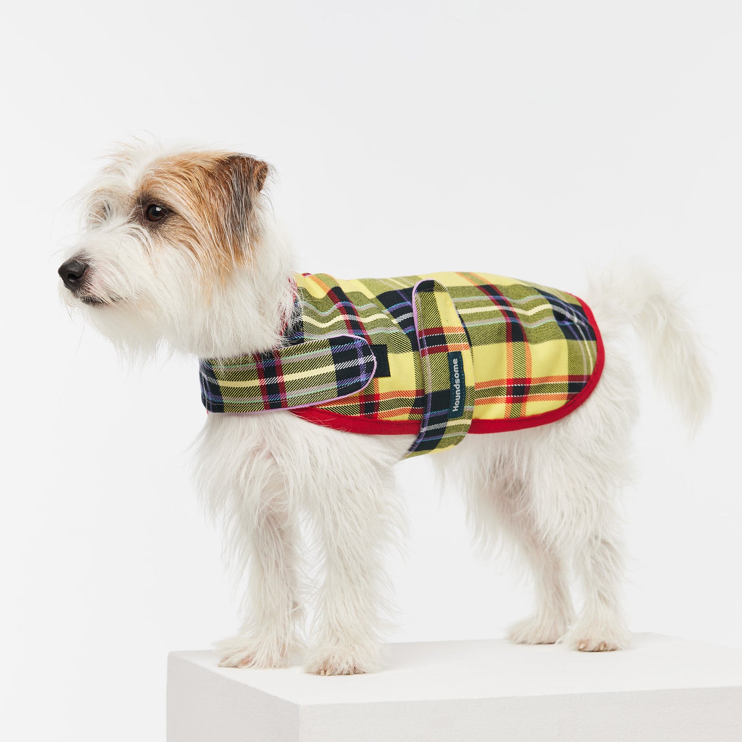 Dog Jacket Tartan Yellow