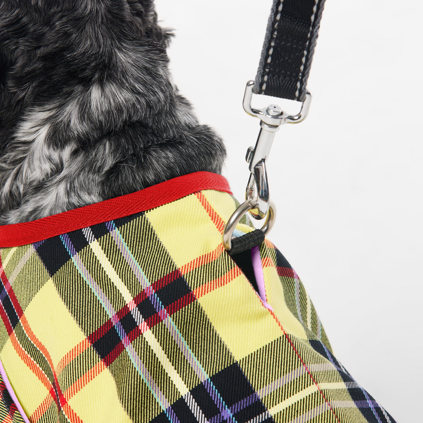 Dachshund Dog Jacket Tartan Yellow