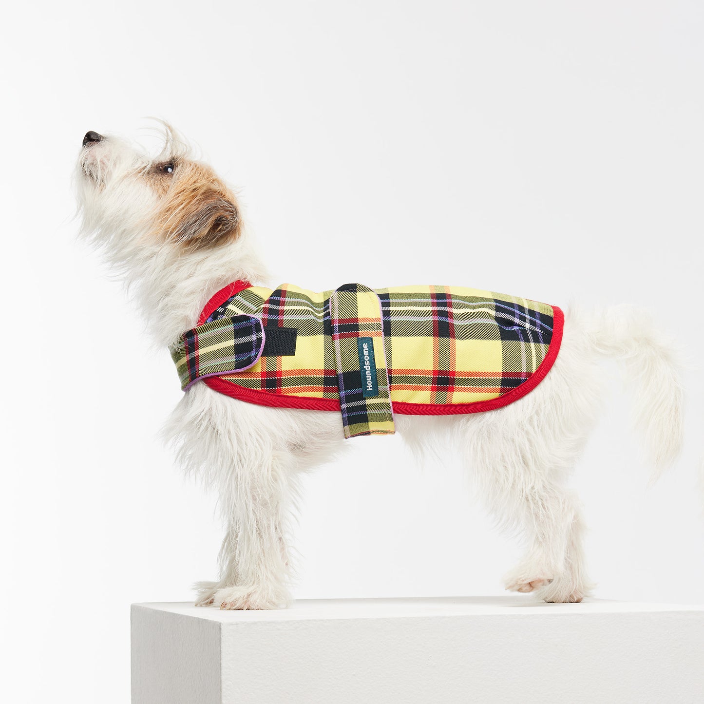 Dog Jacket Tartan Yellow