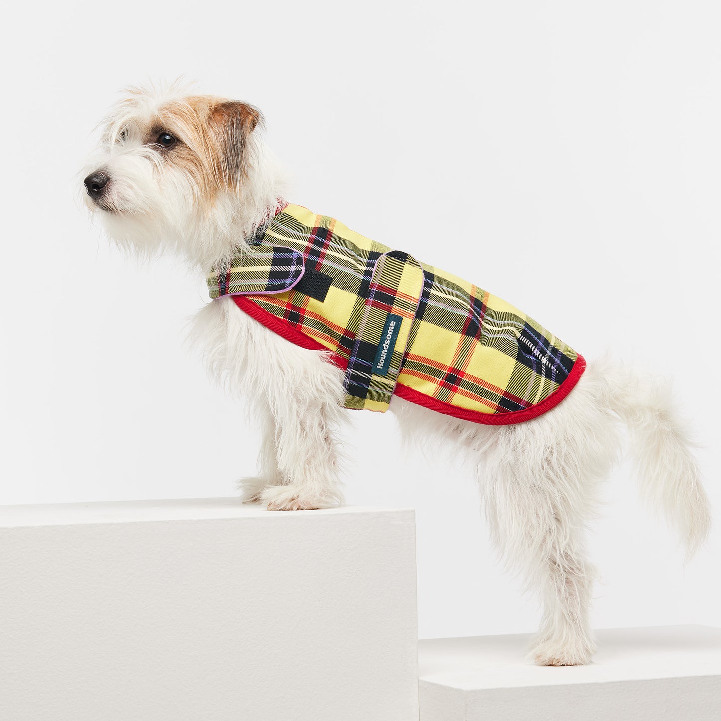 Dog Jacket Tartan Yellow