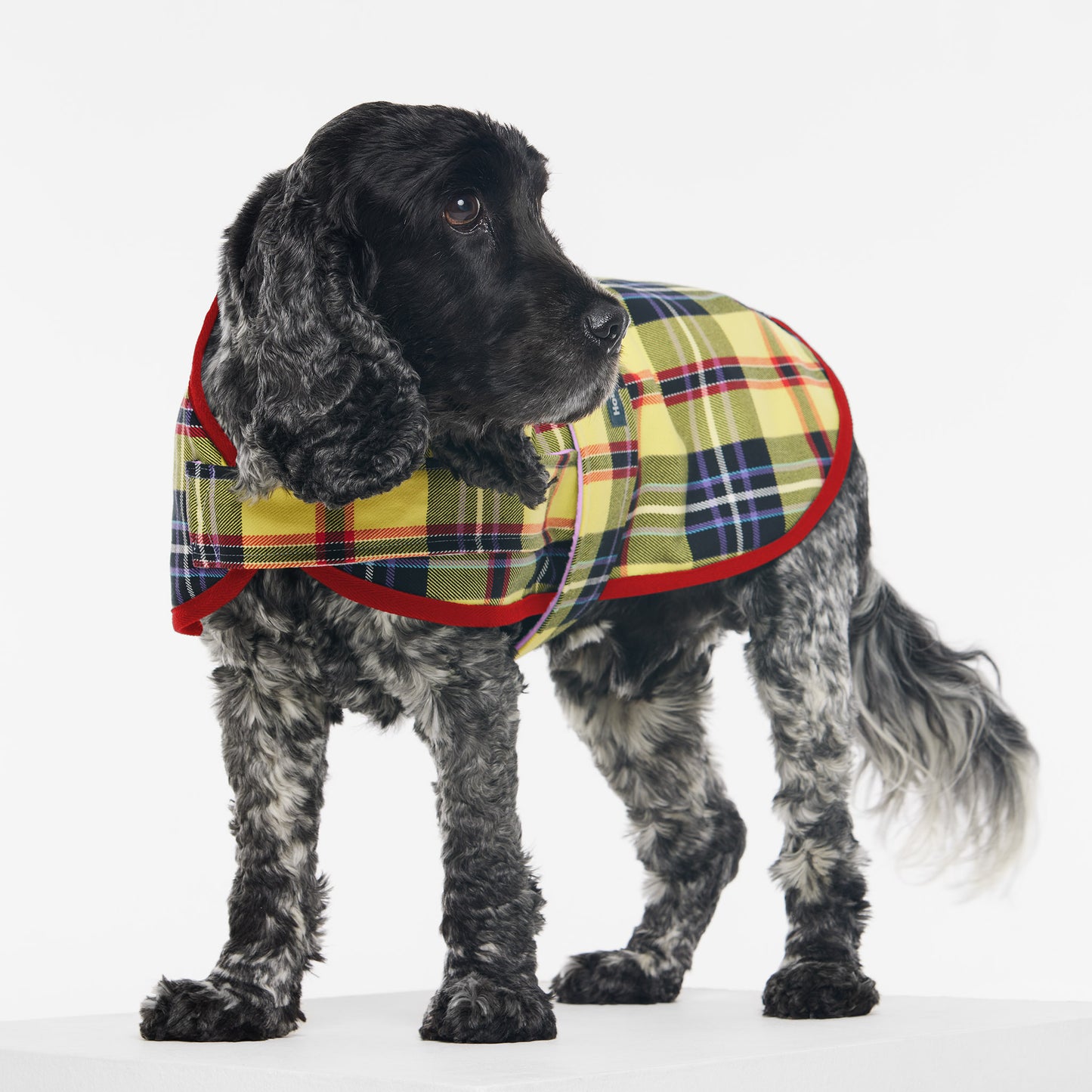 Dog Jacket Tartan Yellow